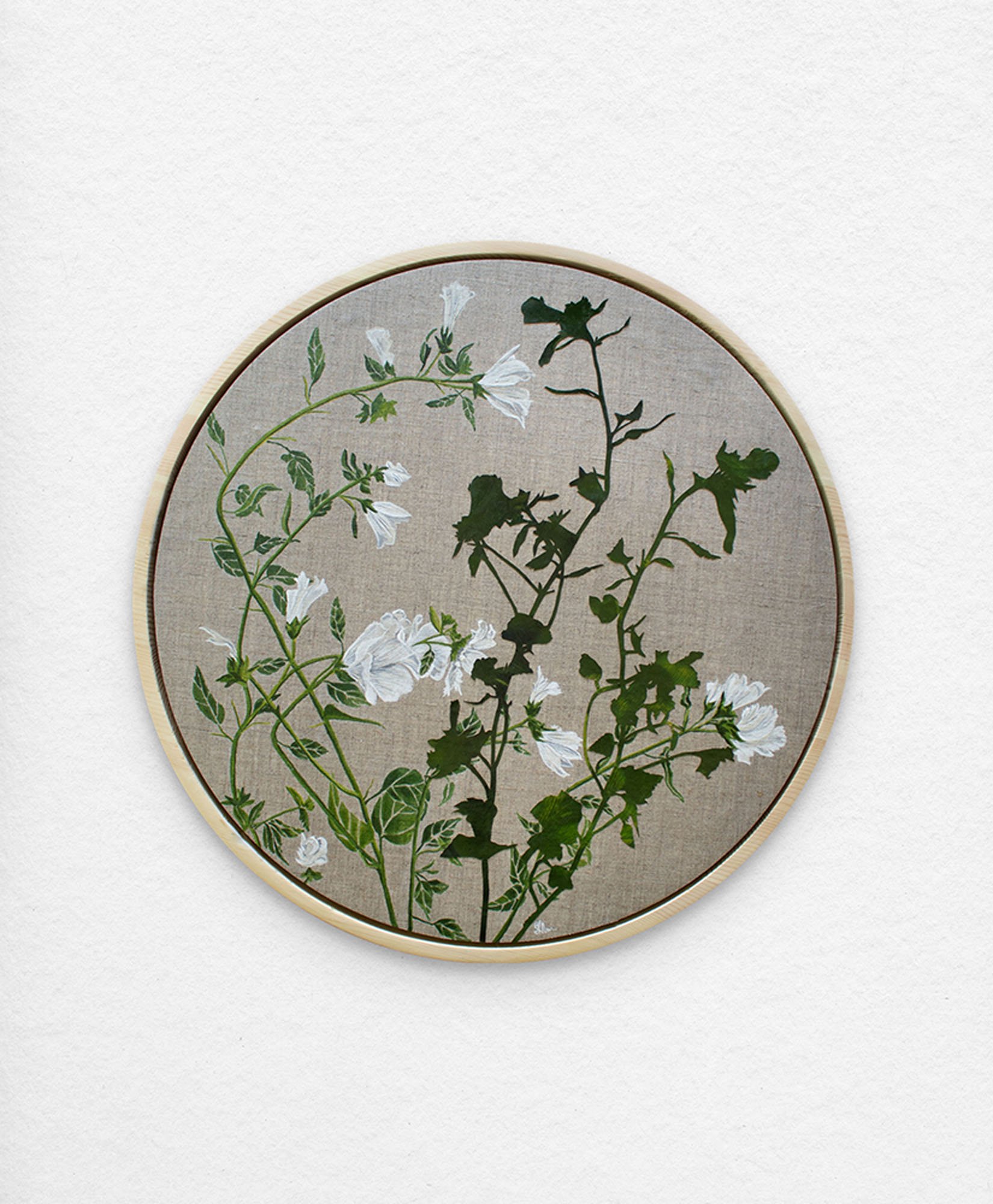 'Herbarium Silhouette – Common Tree Mallow.' Synthetic polymer paint and collage on linen.
53cm diameter. $990 (+ GST for Aust)