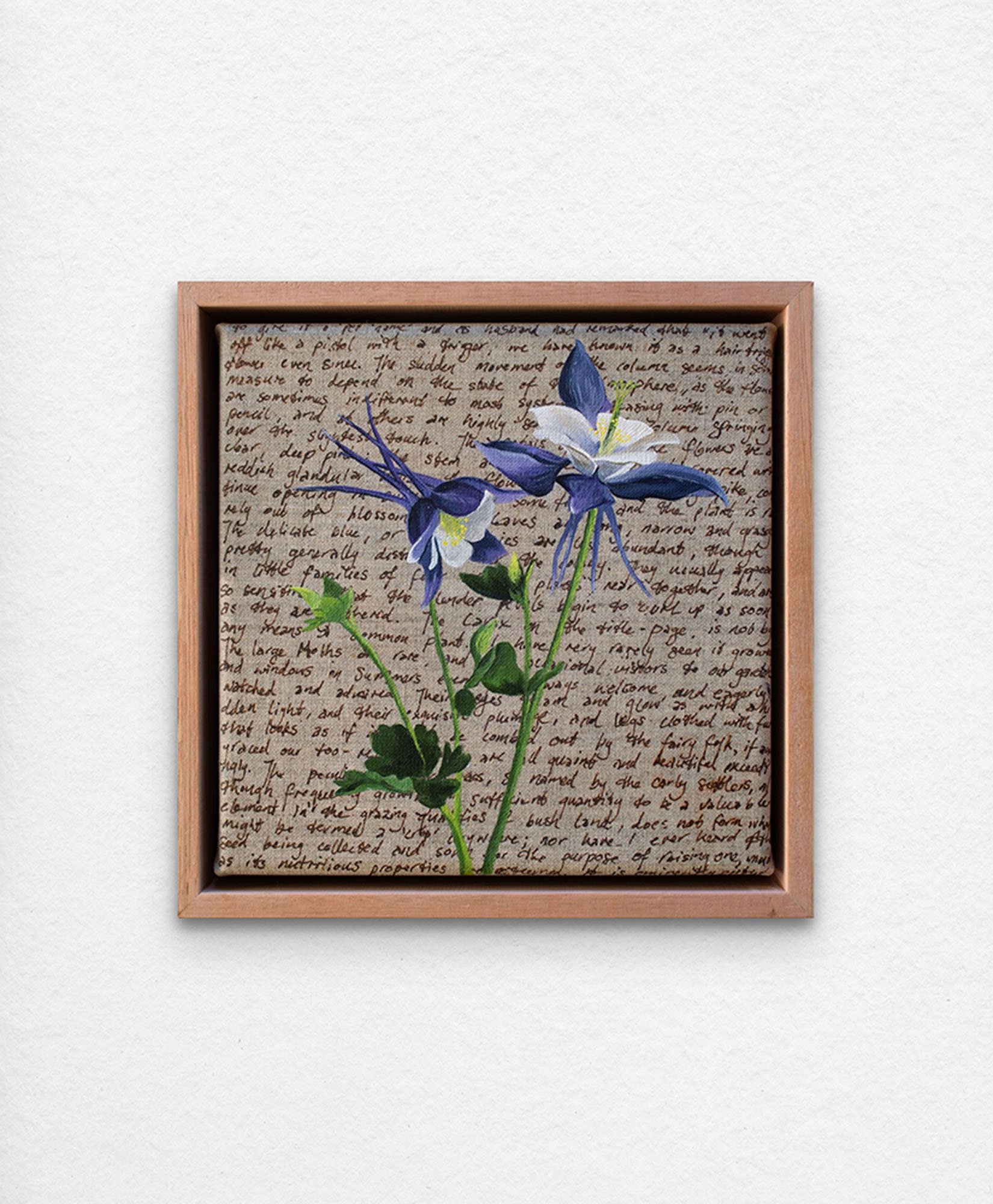 'An Ornamental Education – Granny’s Bonnet.' Synthetic polymer paint and acrylic ink on linen.
23 x 23 cm framed. $350 (+GST for Aust)