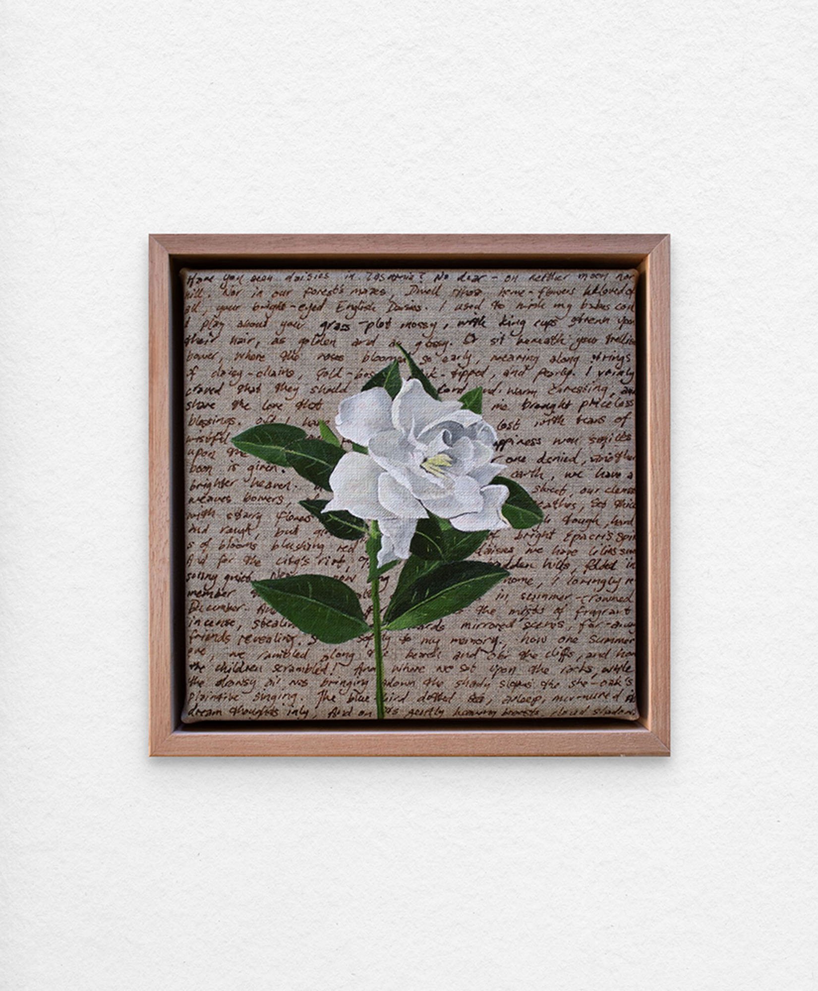 NETHERCOTE_Susan_AOE_Gardenia.jpg