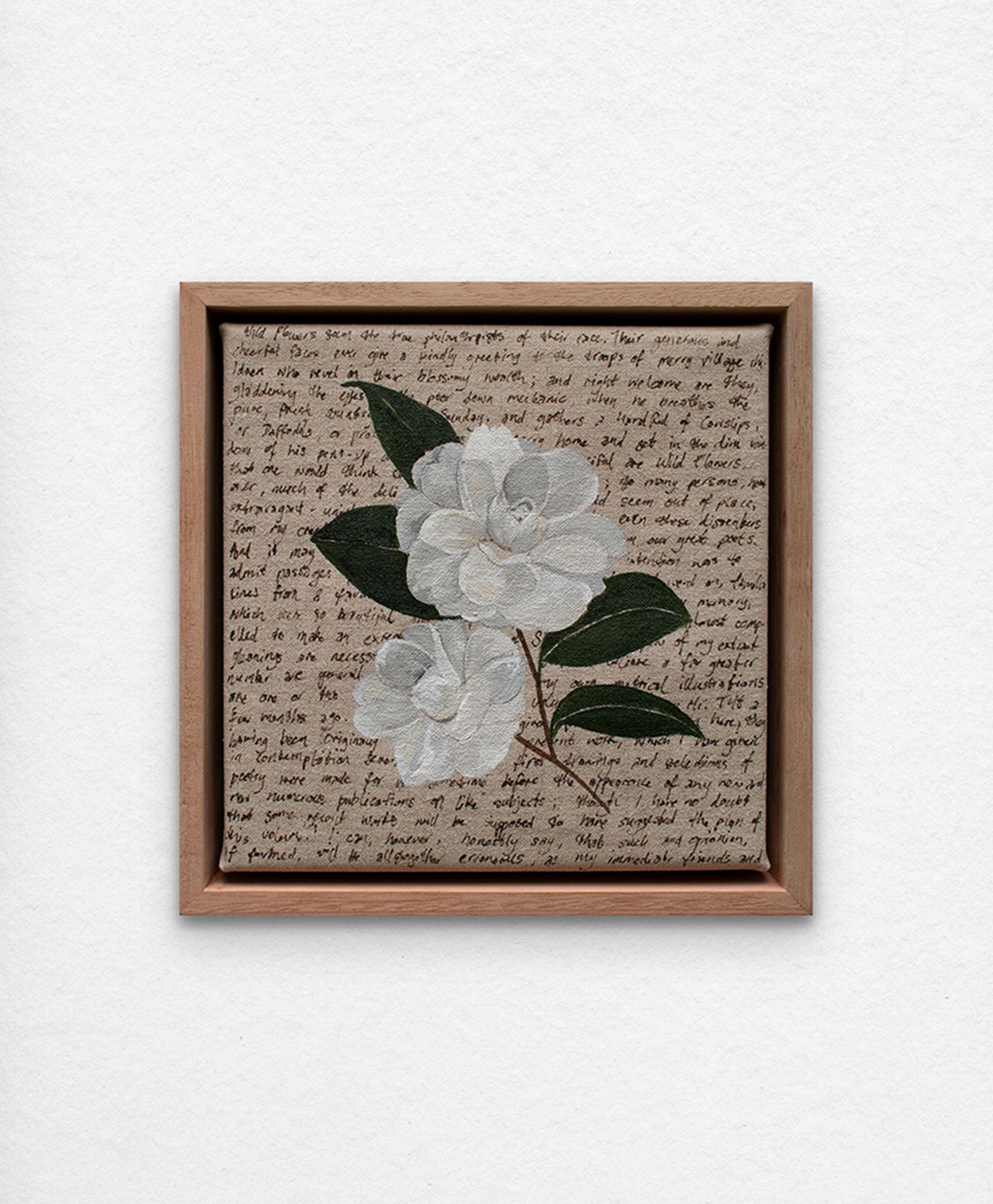 'An Ornamental Education – White Camellia.' Synthetic polymer paint and acrylic ink on linen.
23 x 23 cm framed. $350 (+GST for Aust)