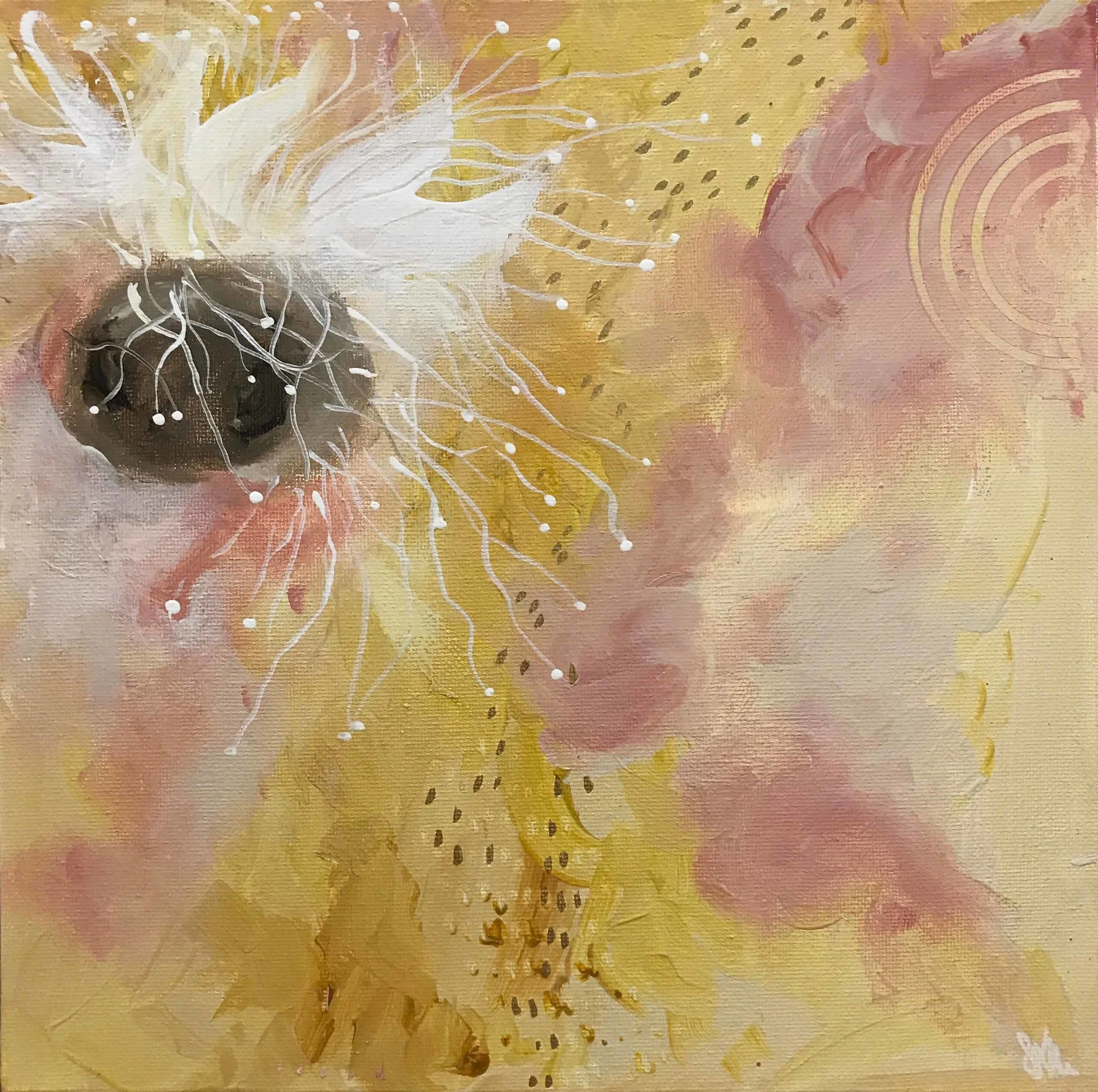 dreaming-blossom-susan-nethercote.jpg