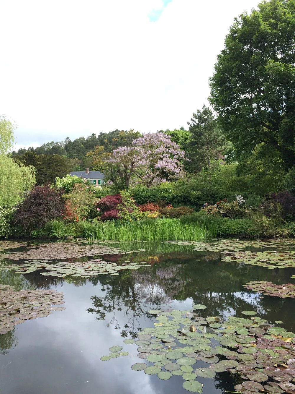 Giverney-pond-and-house-2-susan-nethercote.jpg