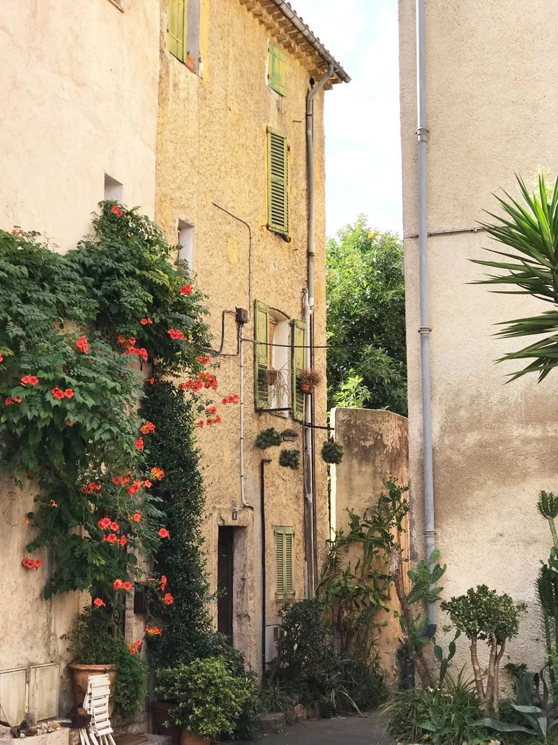 susan-nethercote-france-gallery-12.jpg