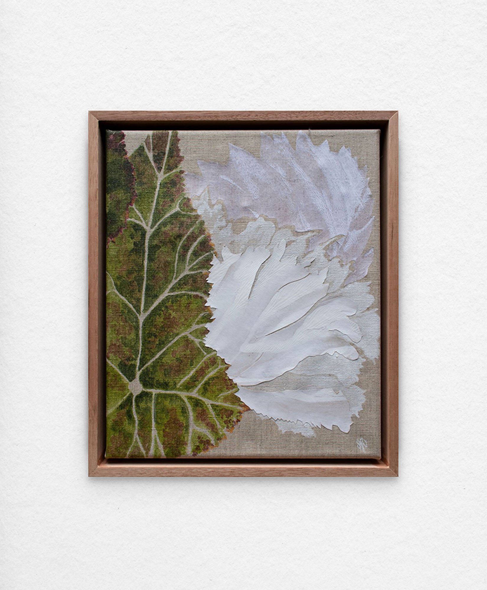 'Begonia Conservatory – Ruffled White.' Synthetic polymer paint and collage on linen.
33 x 28cm framed. $375 (+ GST for Aust)