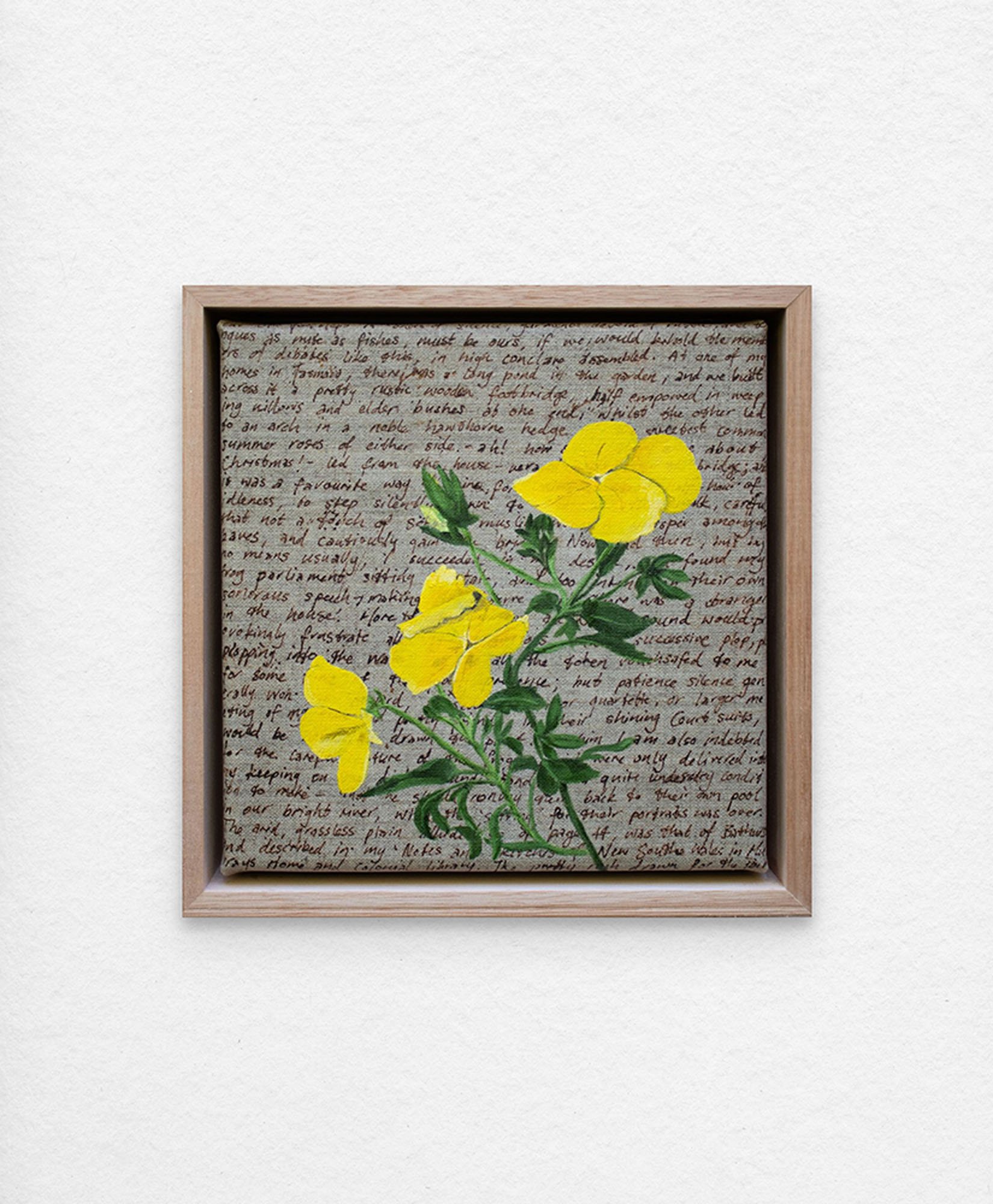 'An Ornamental Education – Pansy'. Synthetic polymer paint and acrylic ink on linen.
23 x 23 cm framed. $350 (+GST for Aust)