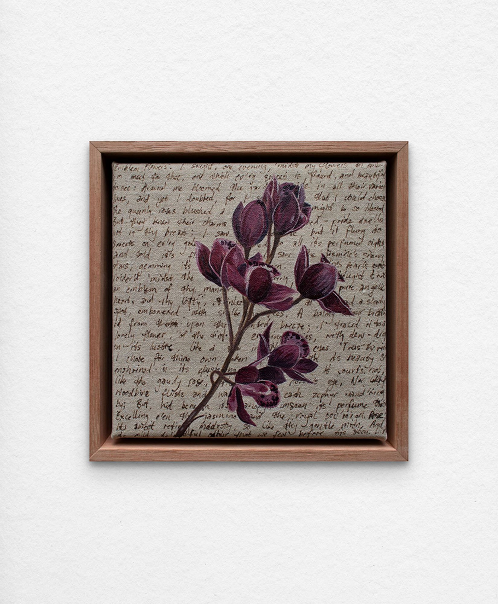 'An Ornamental Education – Cymbidium'. Synthetic polymer paint and acrylic ink on linen.
23 x 23 cm framed. $350 (+GST for Aust)
