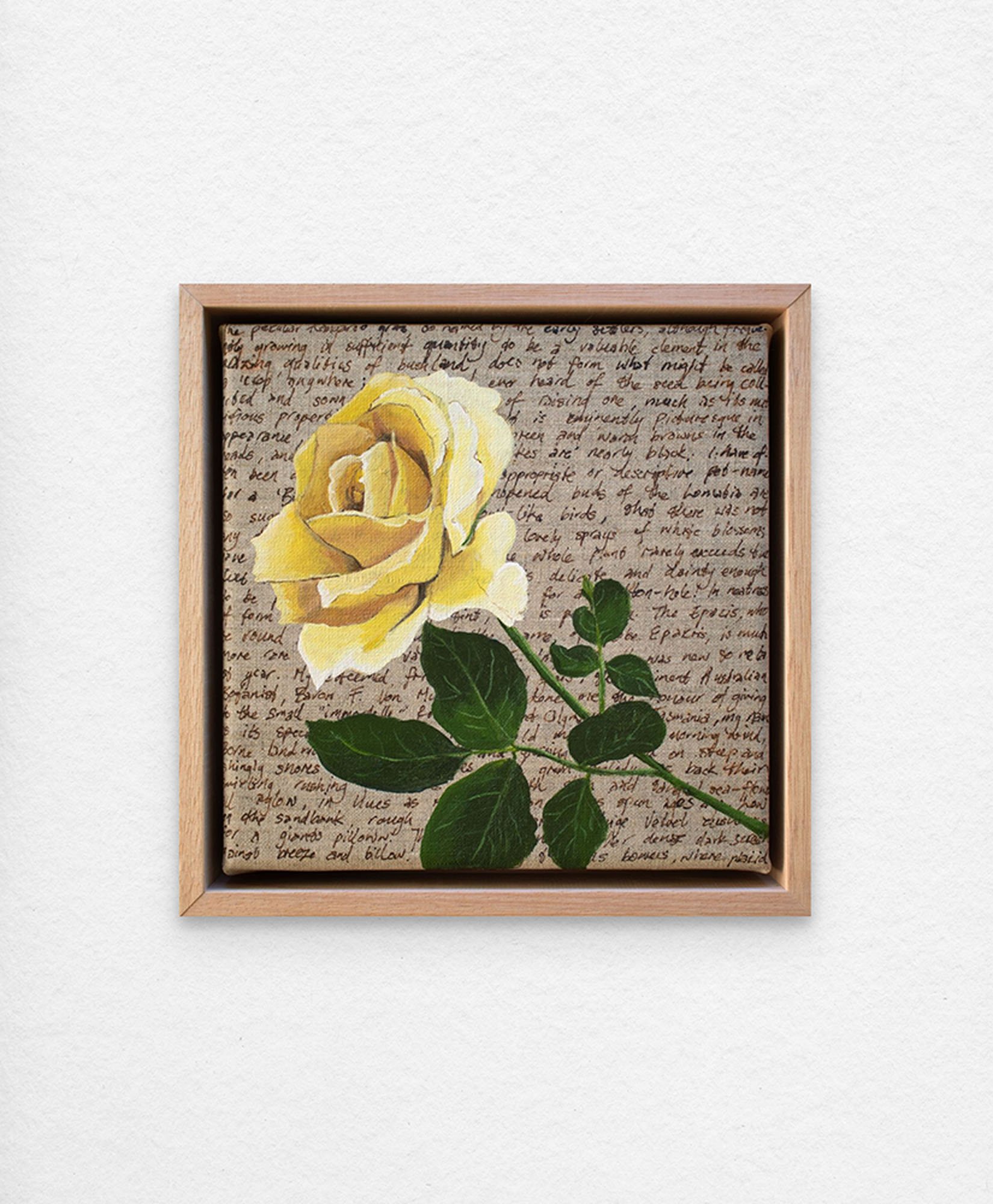 An Ornamental Education – Yellow Rose. Synthetic polymer paint and acrylic ink on linen. 23 x 23 cm framed. $350 (+GST for Aust)