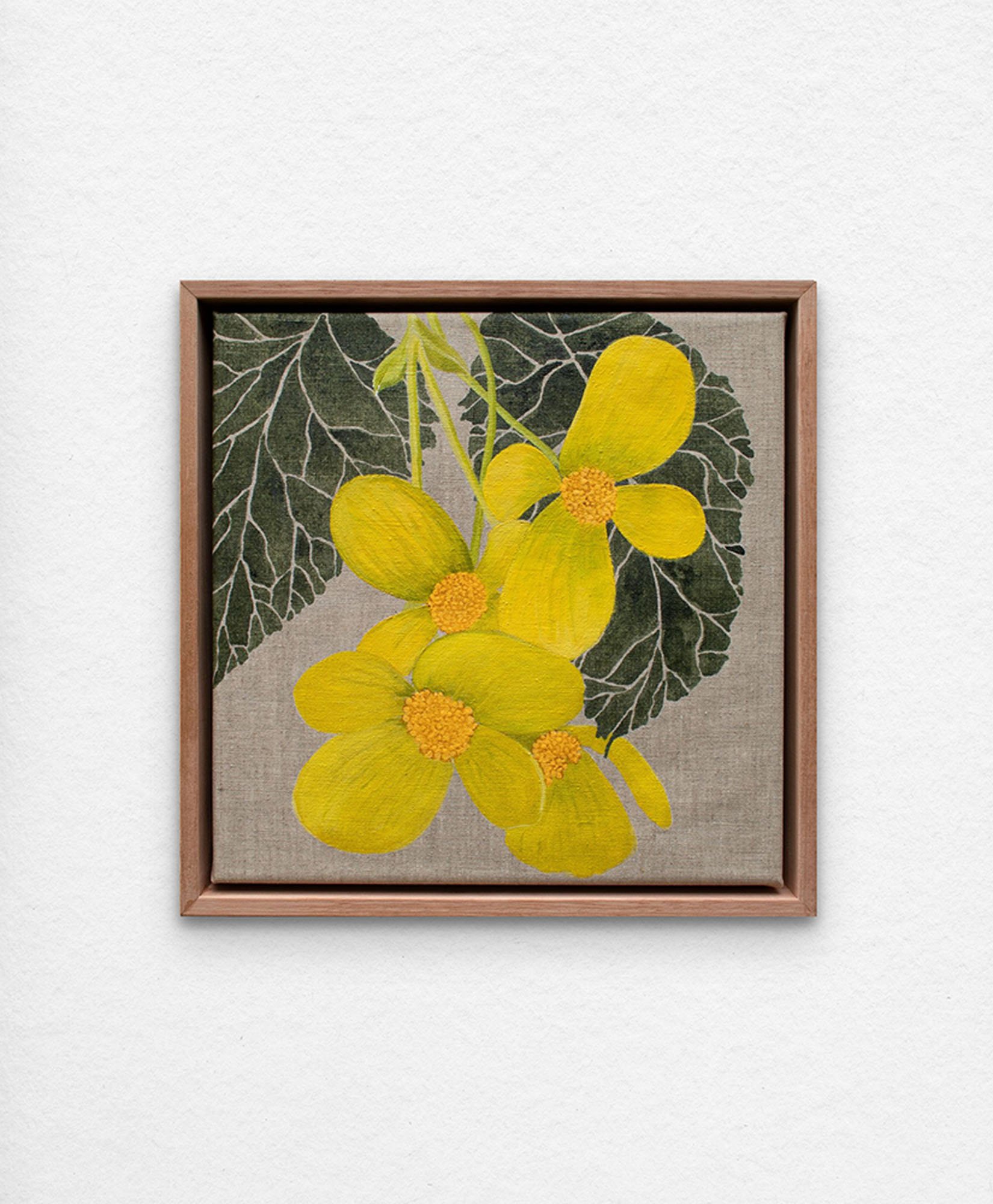 'Begonia Conservatory – Pearcei.' Synthetic polymer paint on linen.
33 x 33cm framed. $395 (+ GST for Aust)