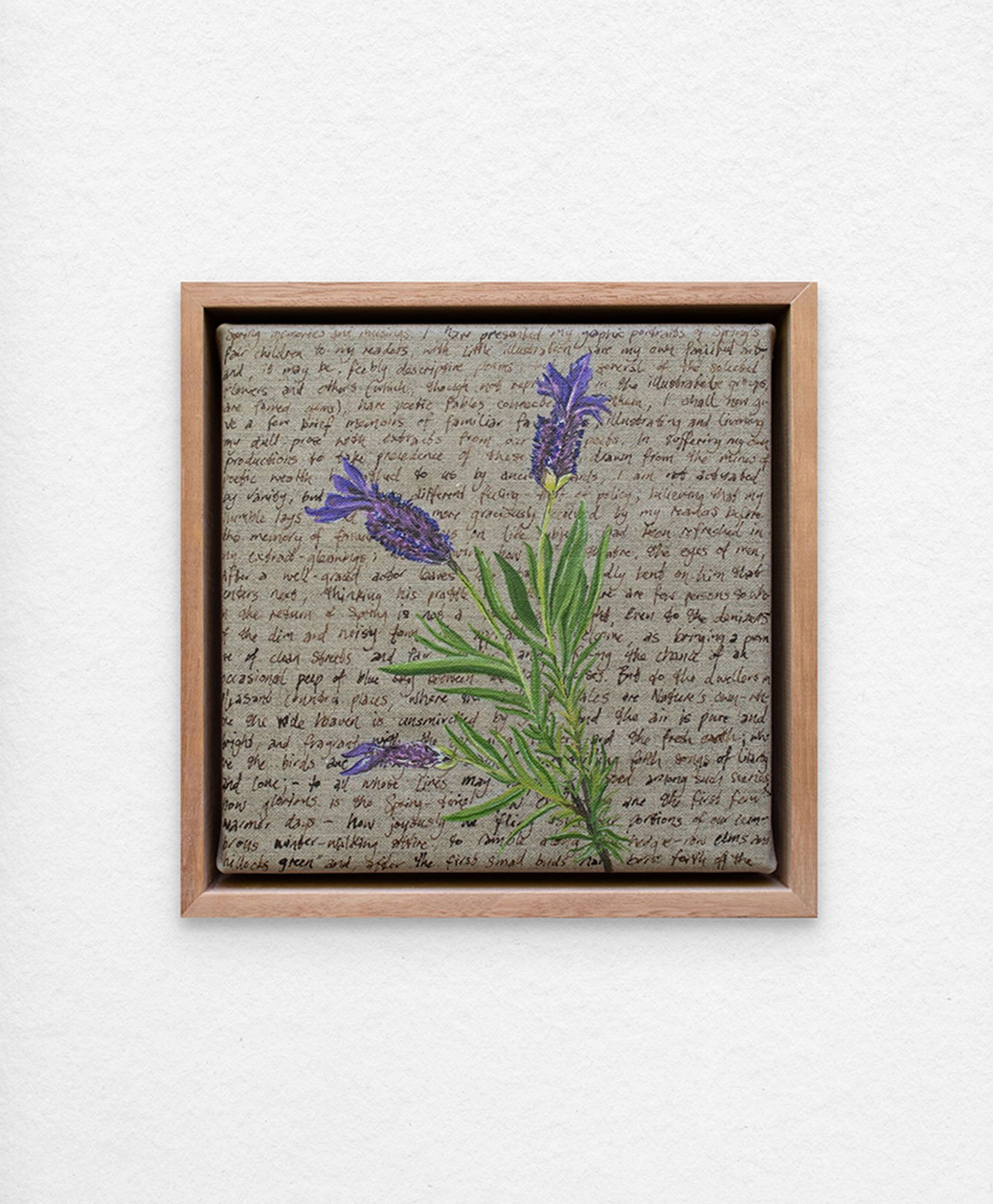 'An Ornamental Education – Spanish Lavender'. Synthetic polymer paint and acrylic ink on linen.
23 x 23 cm framed. $350 (+GST for Aust)