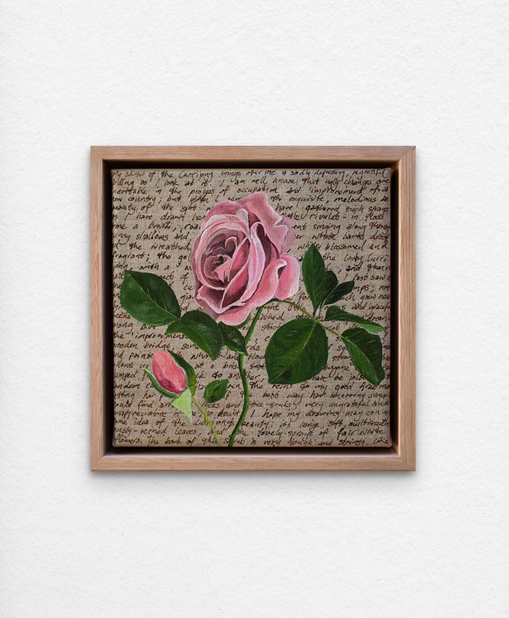 'An Ornamental Education – Pink Rose.' Synthetic polymer paint and acrylic ink on linen.
23 x 23 cm framed. $350 (+GST for Aust)
