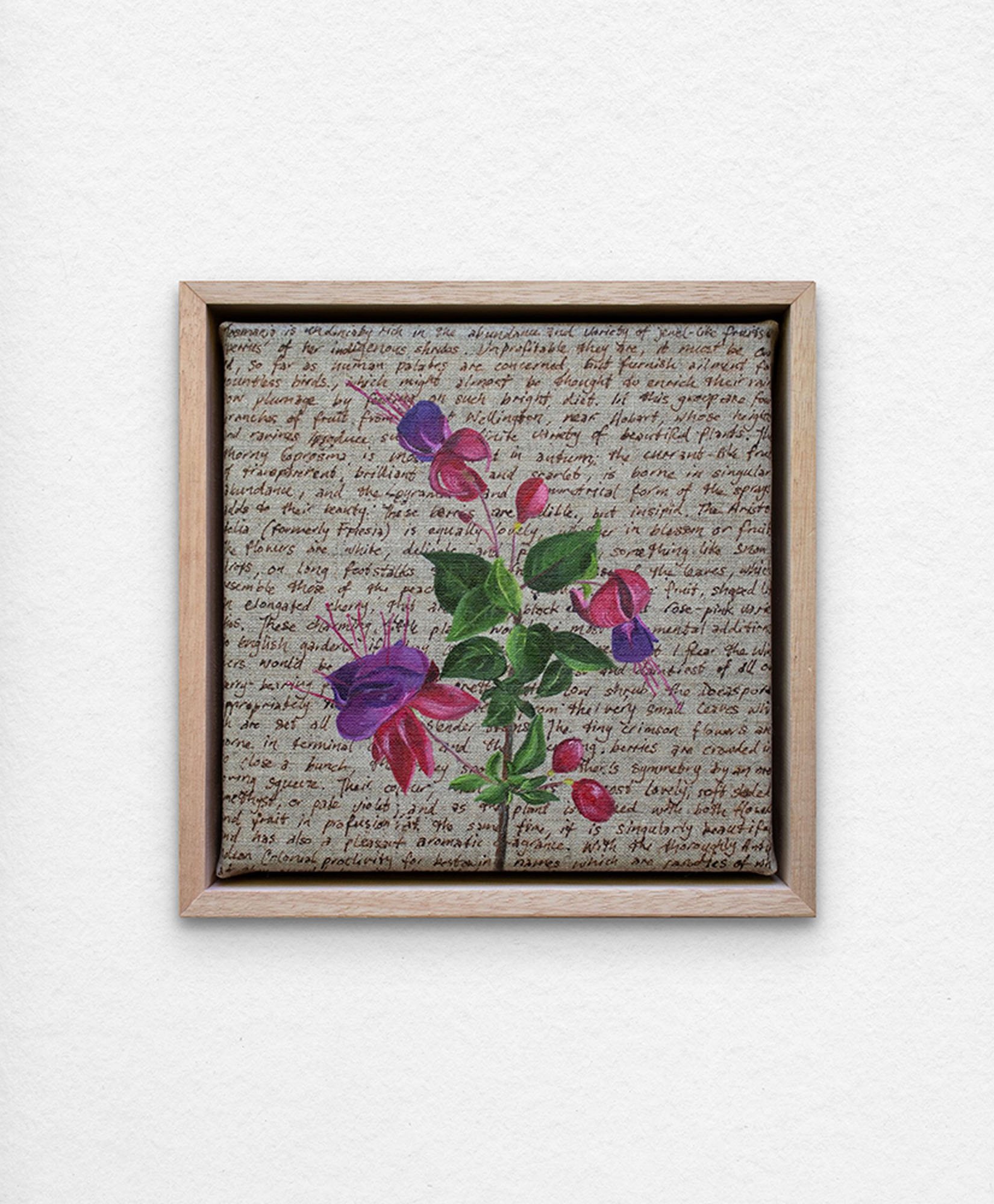 'An Ornamental Education – Fuchsia.' Synthetic polymer paint and acrylic ink on linen.
23 x 23 cm framed. $350 (+GST for Aust)