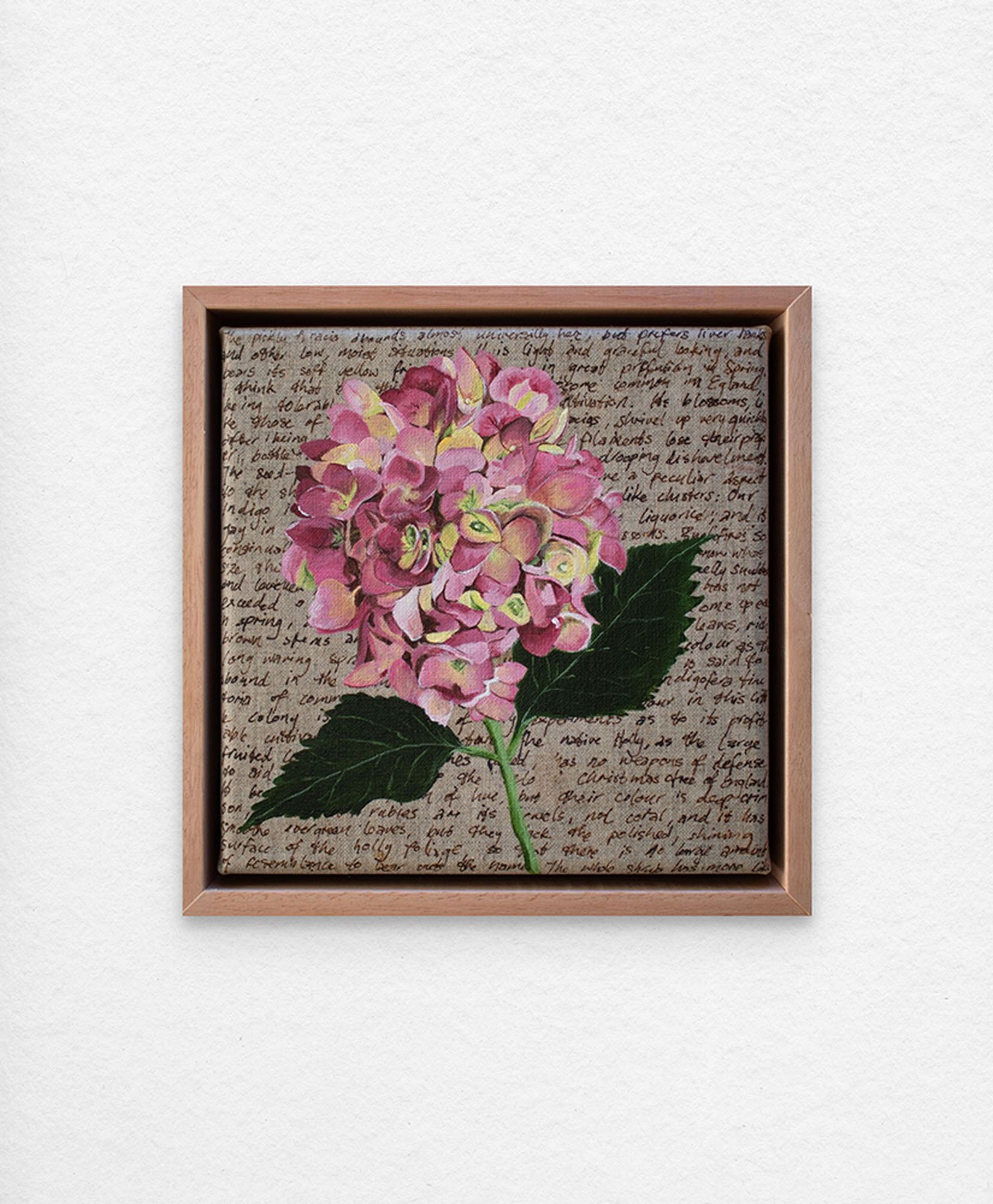'An Ornamental Education – Pink Hydrangea.' Synthetic polymer paint and acrylic ink on linen.
23 x 23 cm framed. $350 (+GST for Aust)