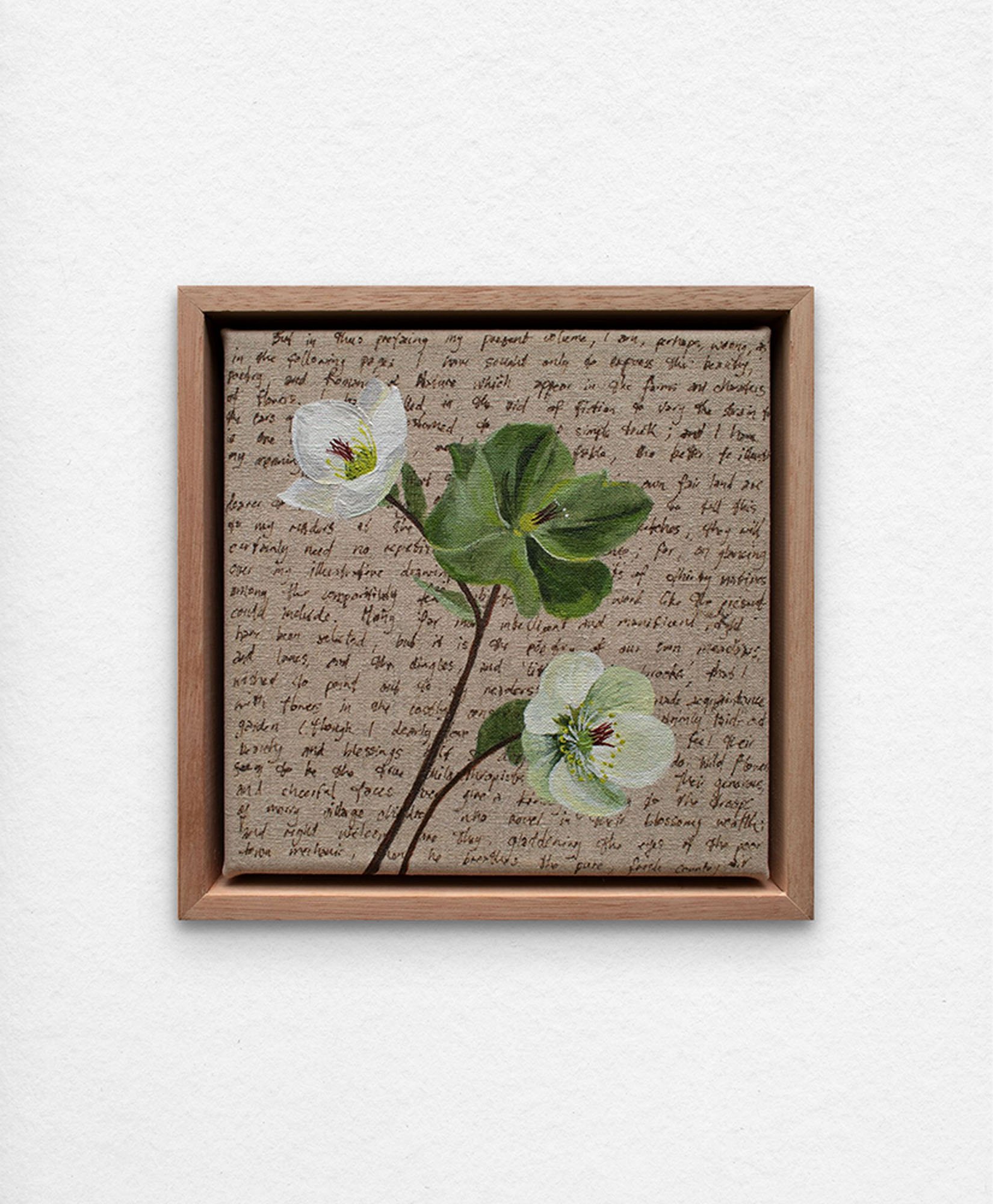 'An Ornamental Education – White Hellebore.' Synthetic polymer paint and acrylic ink on linen.
23 x 23 cm framed. $350 (+GST for Aust)