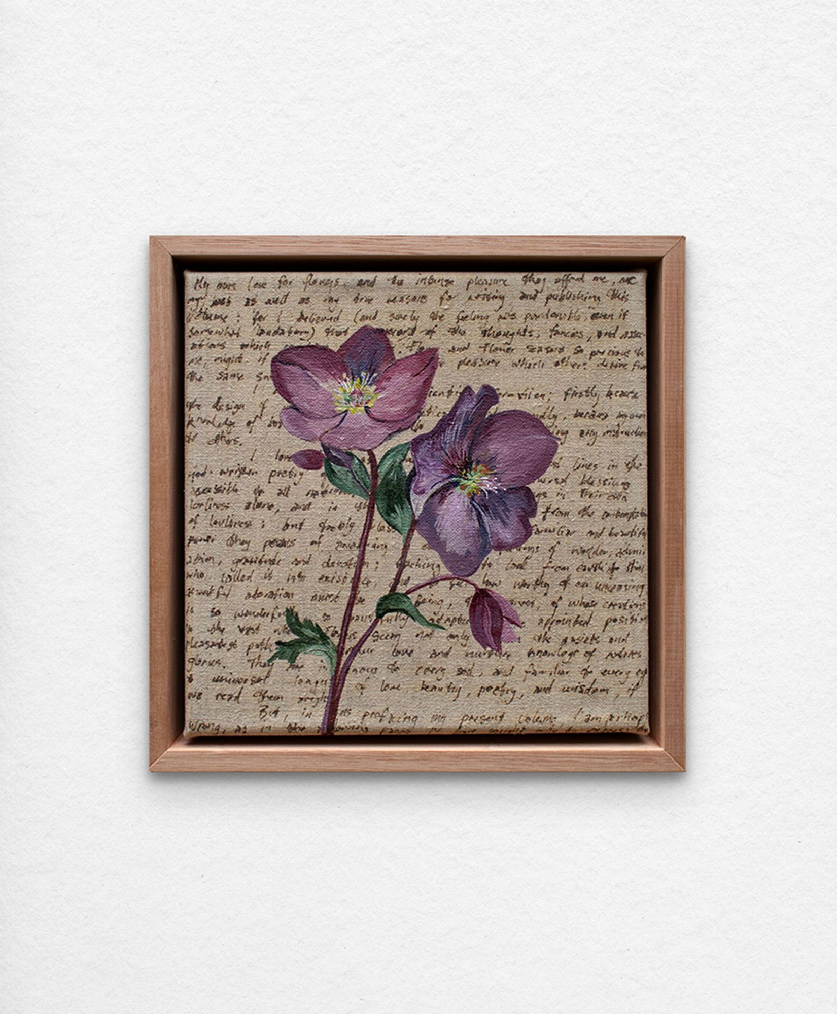 'An Ornamental Education - Burgundy Hellebore', 2023. Synthetic polymer paint and acrylic ink on linen.
23 x 23 cm framed. $350 (+GST for Aust)