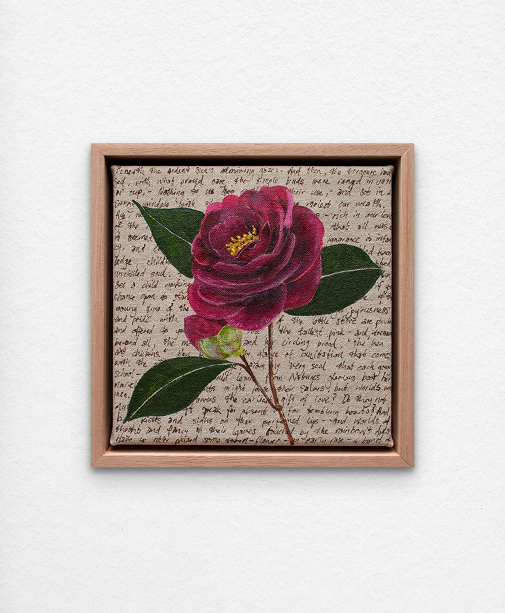 'An Ornamental Education – Pink Camellia'. Synthetic polymer paint and acrylic ink on linen.
23 x 23 cm framed. $350 (+GST for Aust)
