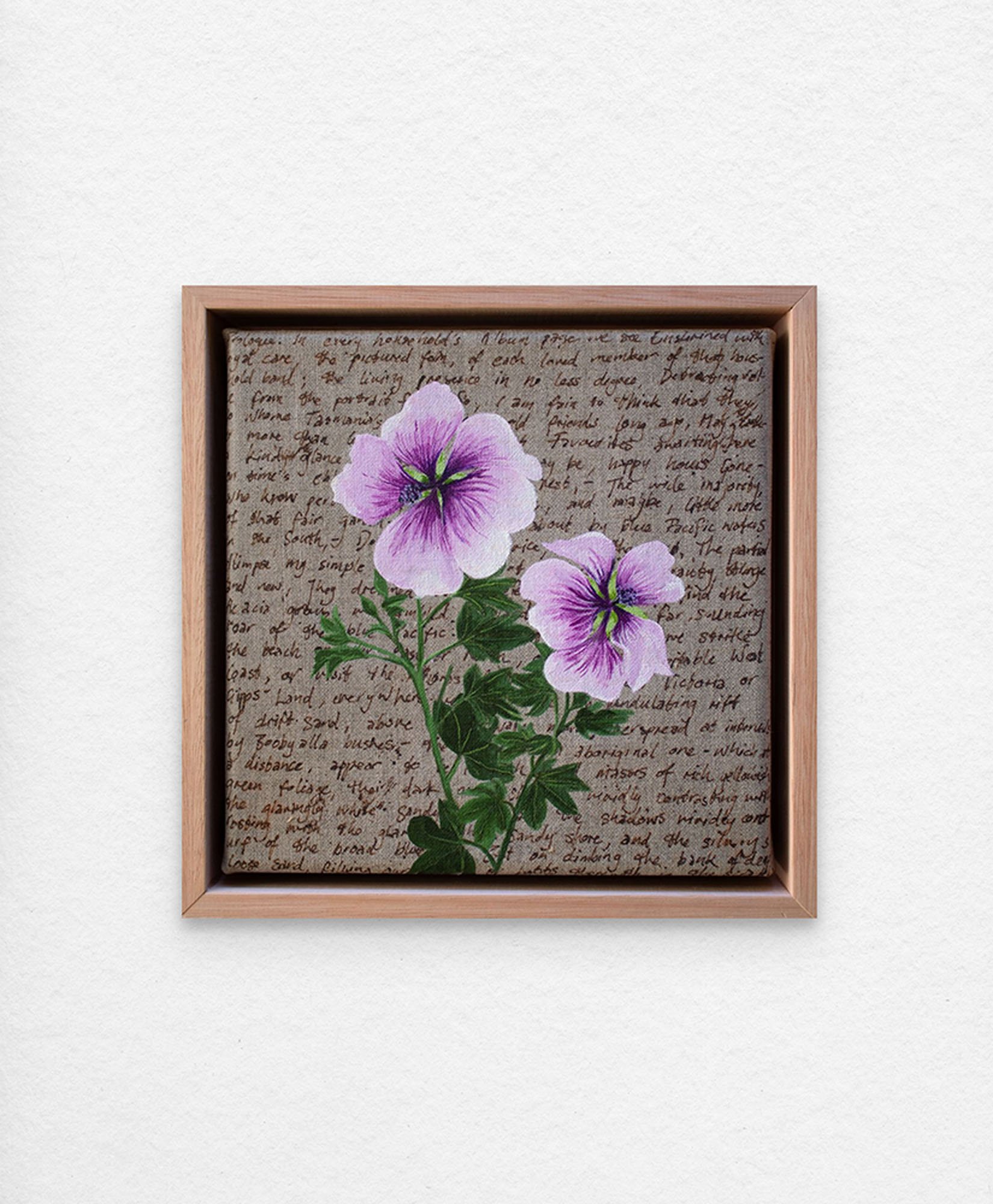 'An Ornamental Education – Tree Mallow.' Synthetic polymer paint and acrylic ink on linen.
23 x 23 cm framed. $350 (+GST for Aust)