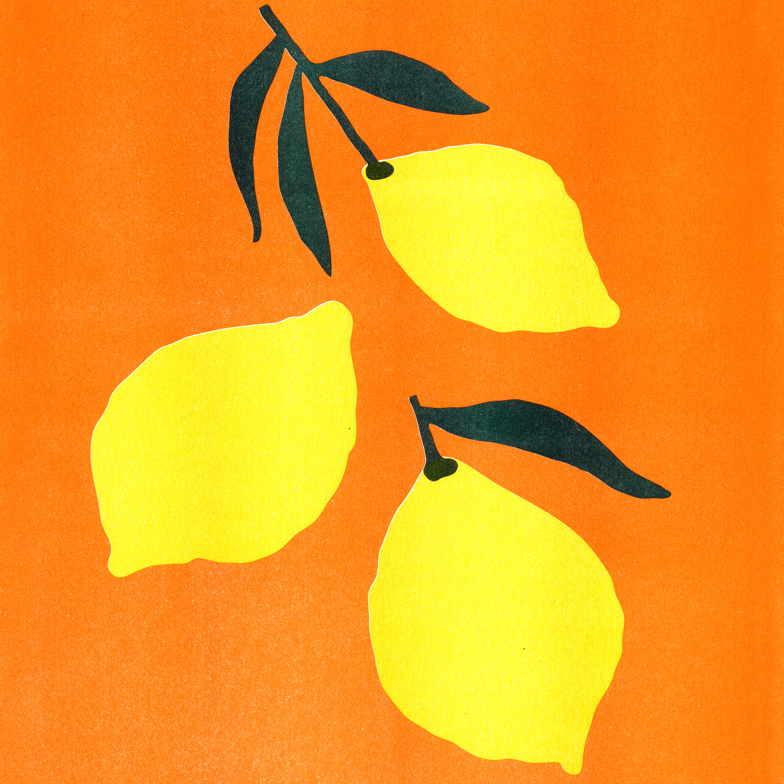 Citrons_cover.png