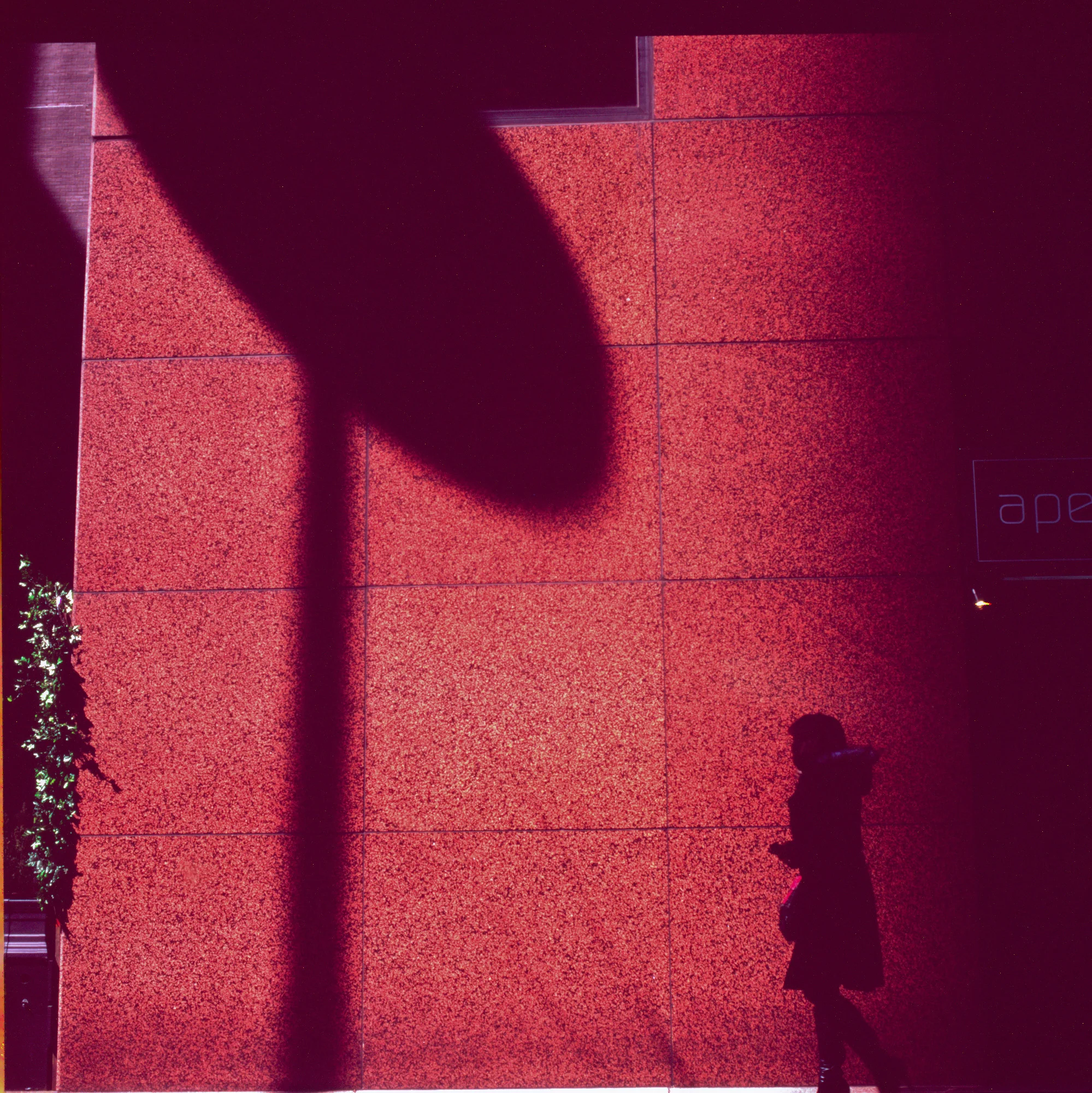 Rigopoulos_01-62.jpg