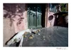 _SON4180-Edit.jpg