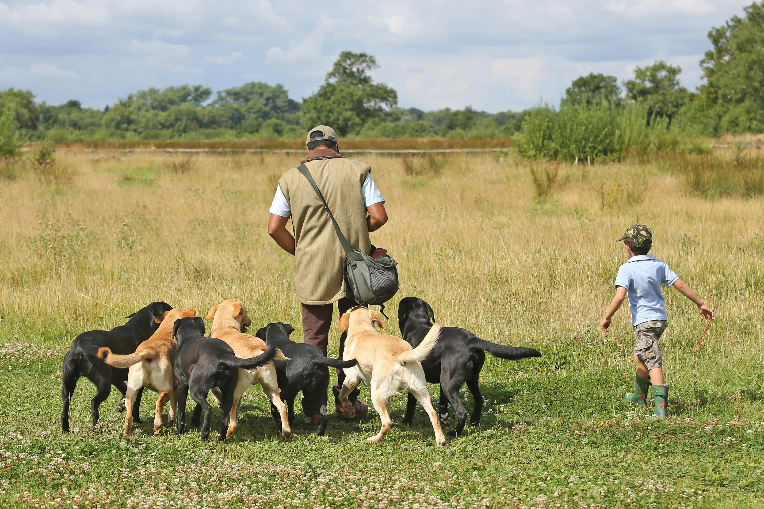 willowyck gundogs