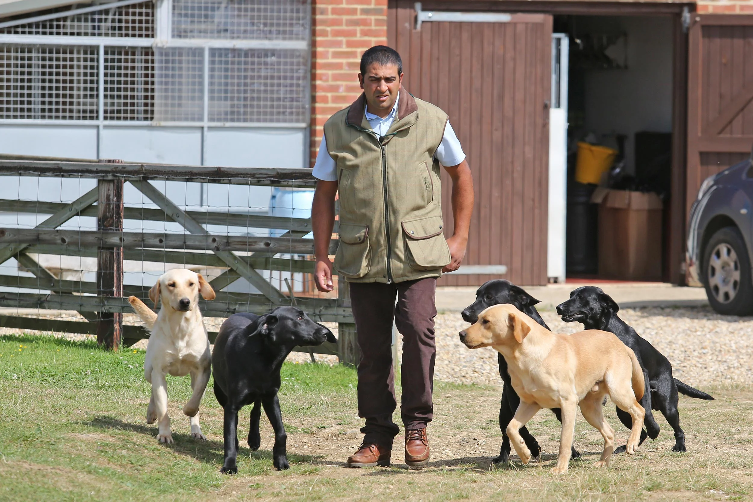 willowyck gundogs
