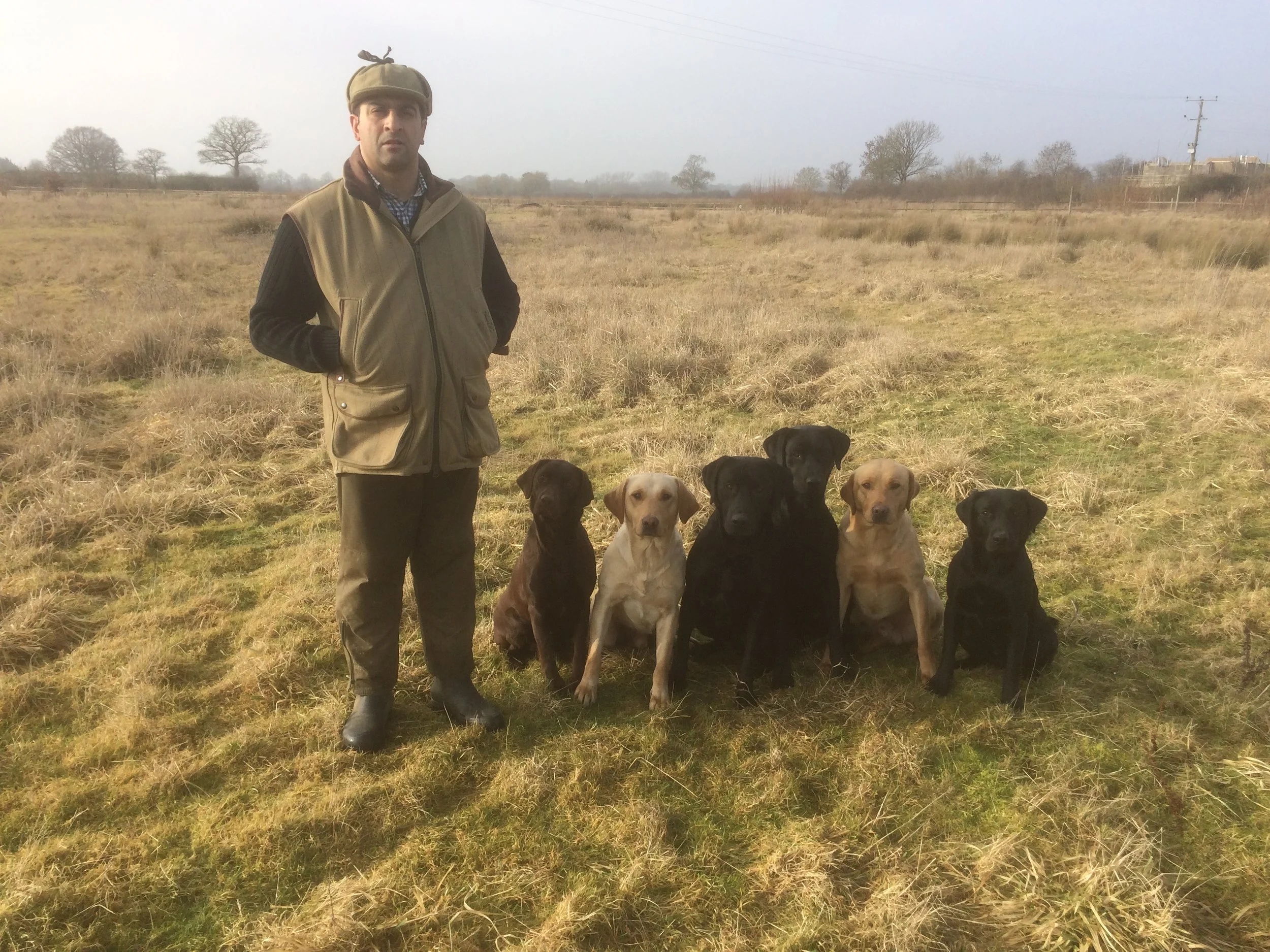 willowyck gundogs