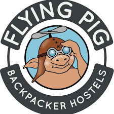 flying pig.png