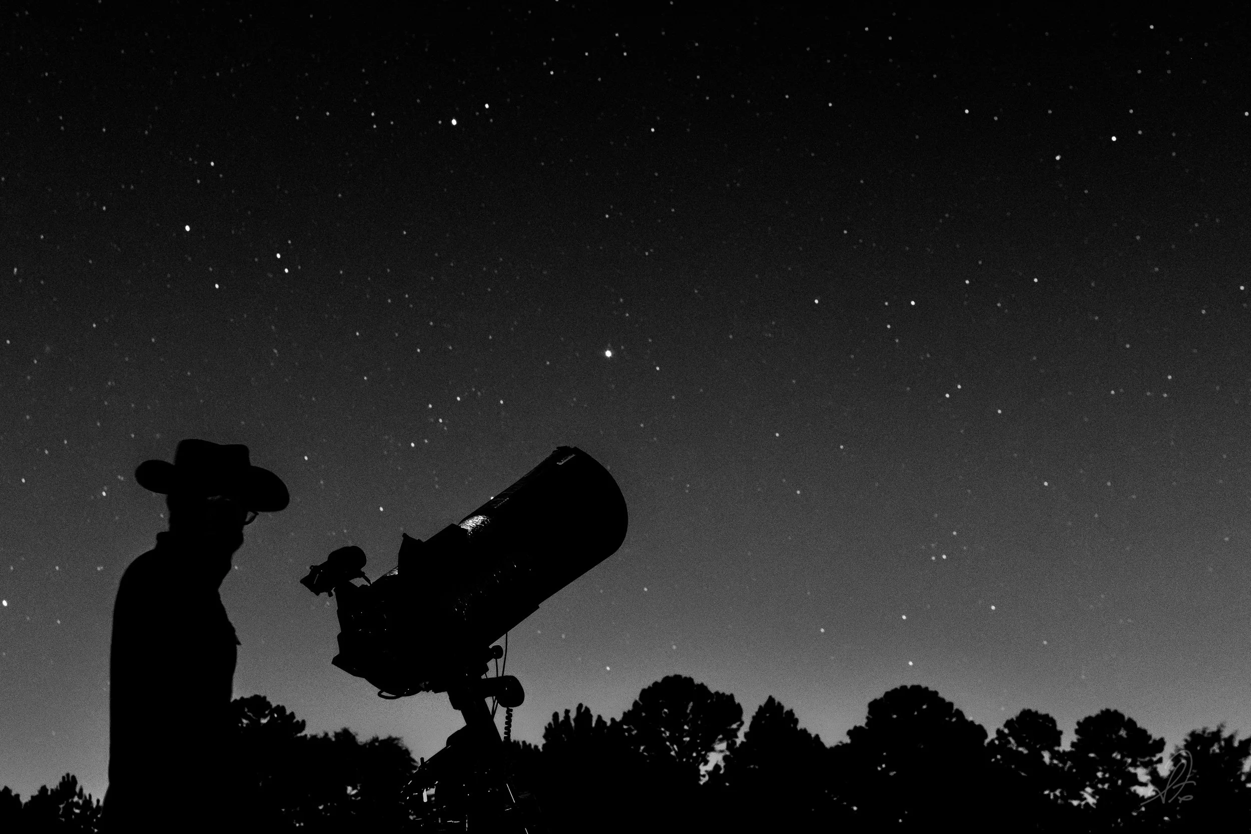 Twilight Stars