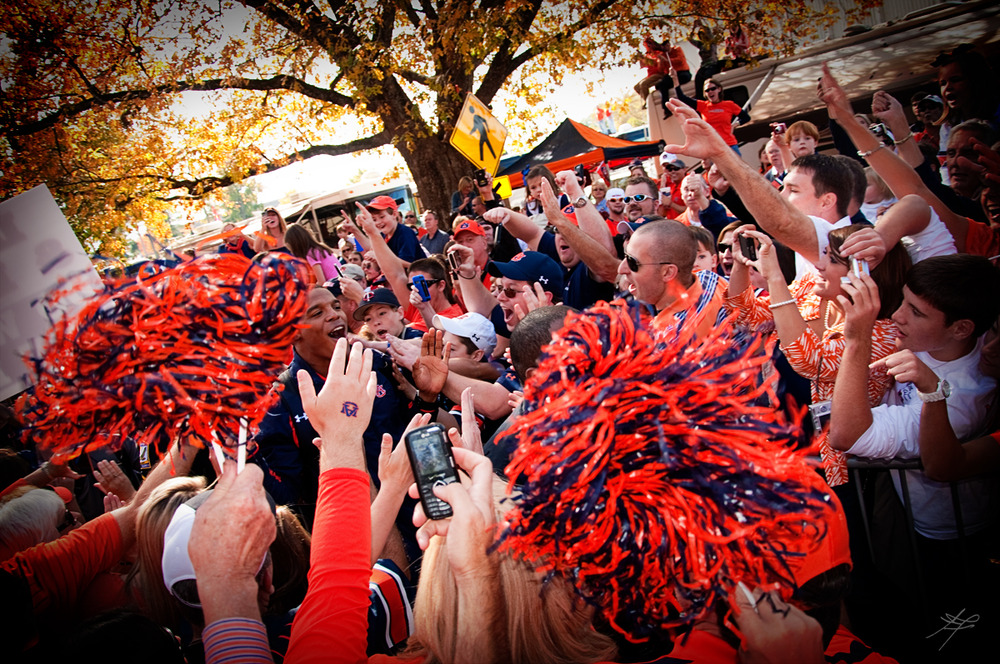 Cam Newton in Tiger Walk