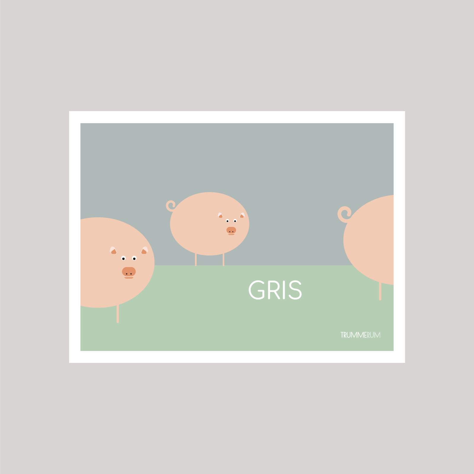 Gris - 40 x 30 cm - Blå himmel