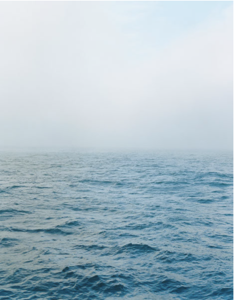 Northsea #1