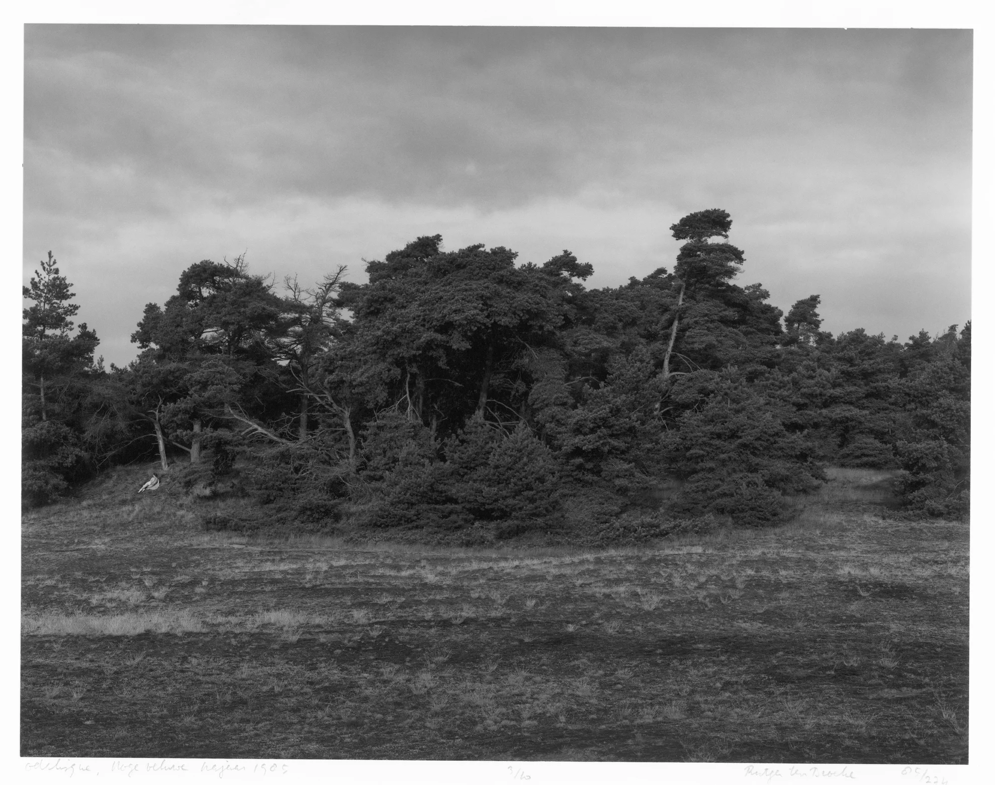 Odalisque, Hoge Veluwe, 1985