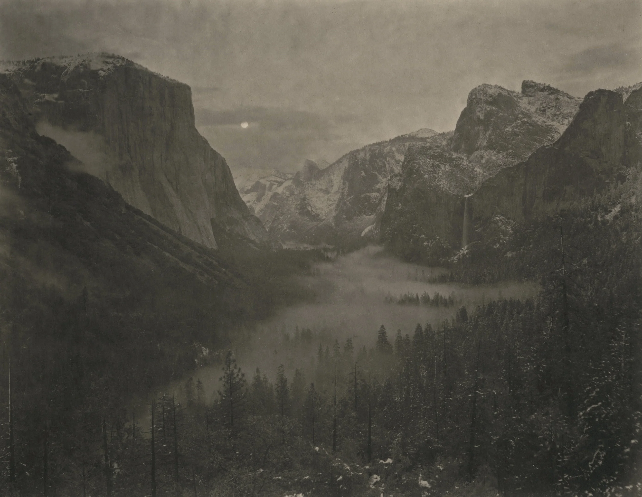 Yosemite #13, from the series "Silent Respiration of Forest"