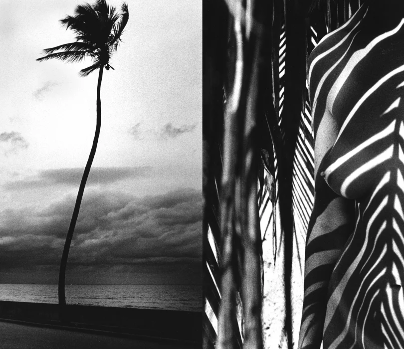 BARRY KORNBLUH | Hungry Eye Gallery