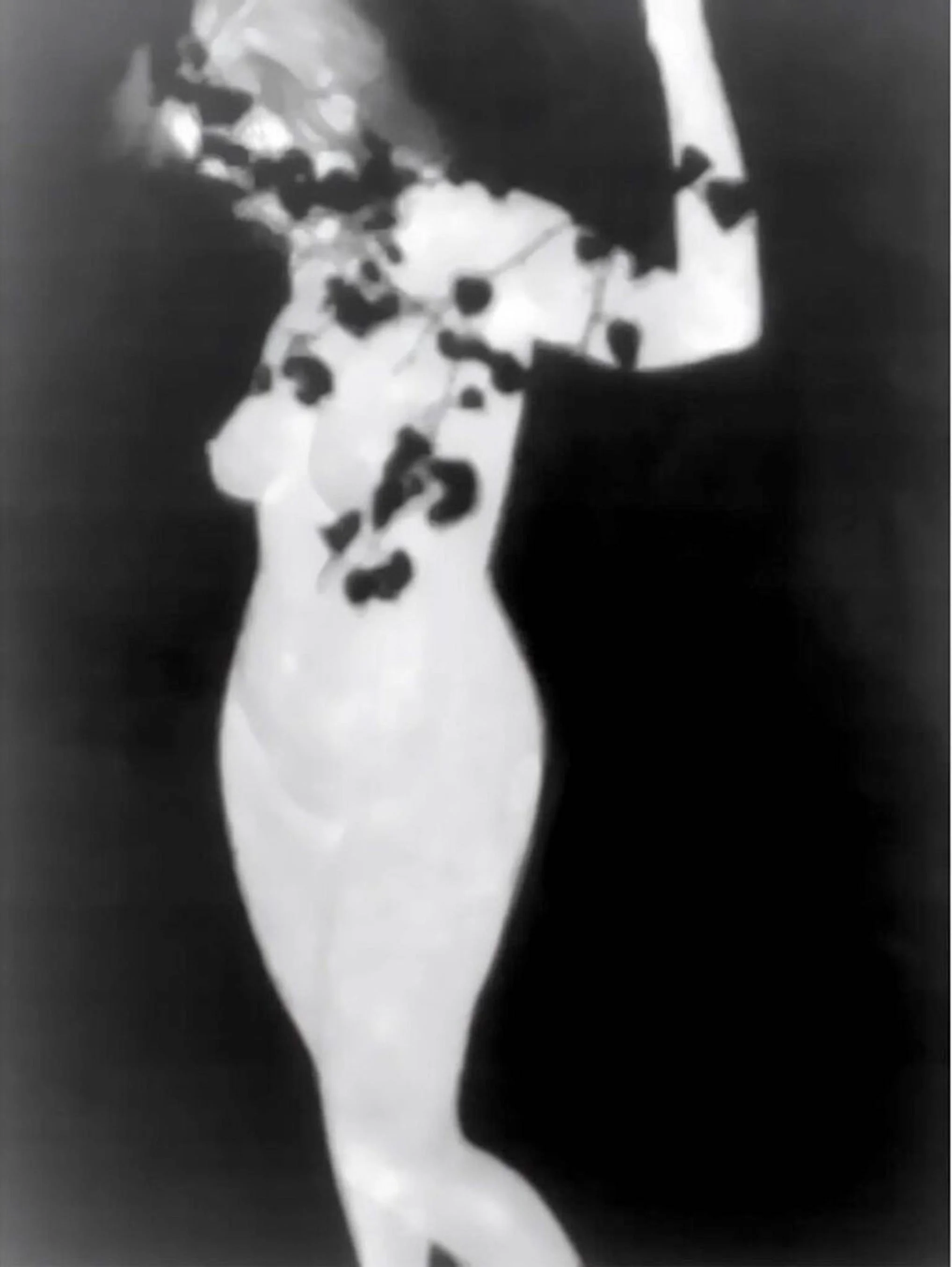 OLGA WAGEMANS