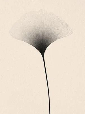 Untitled_2000_Ginkgo_1100.jpg
