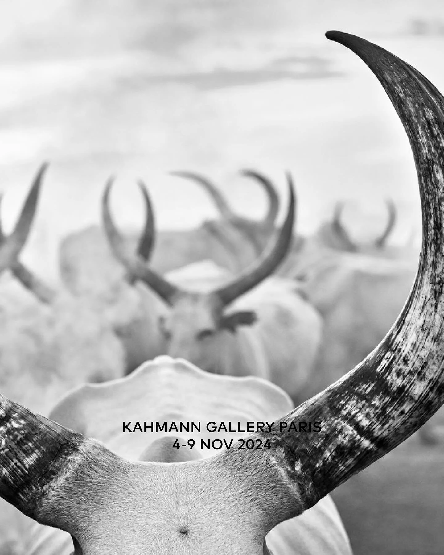 KAHMANN GALLERY POP-UP IN PARIS &bull; 5-9 NOV

In honor of the 20th anniversary of Kahmann Gallery, we are thrilled to announce the opening of a special pop-up gallery in the vibrant Marais district, right in the heart of Paris. To coincide with Par
