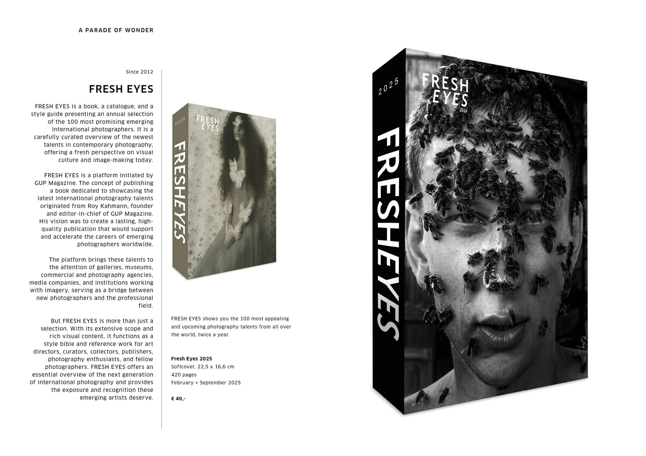 A Parade of Wonder Catalogue 2 jan21.jpg