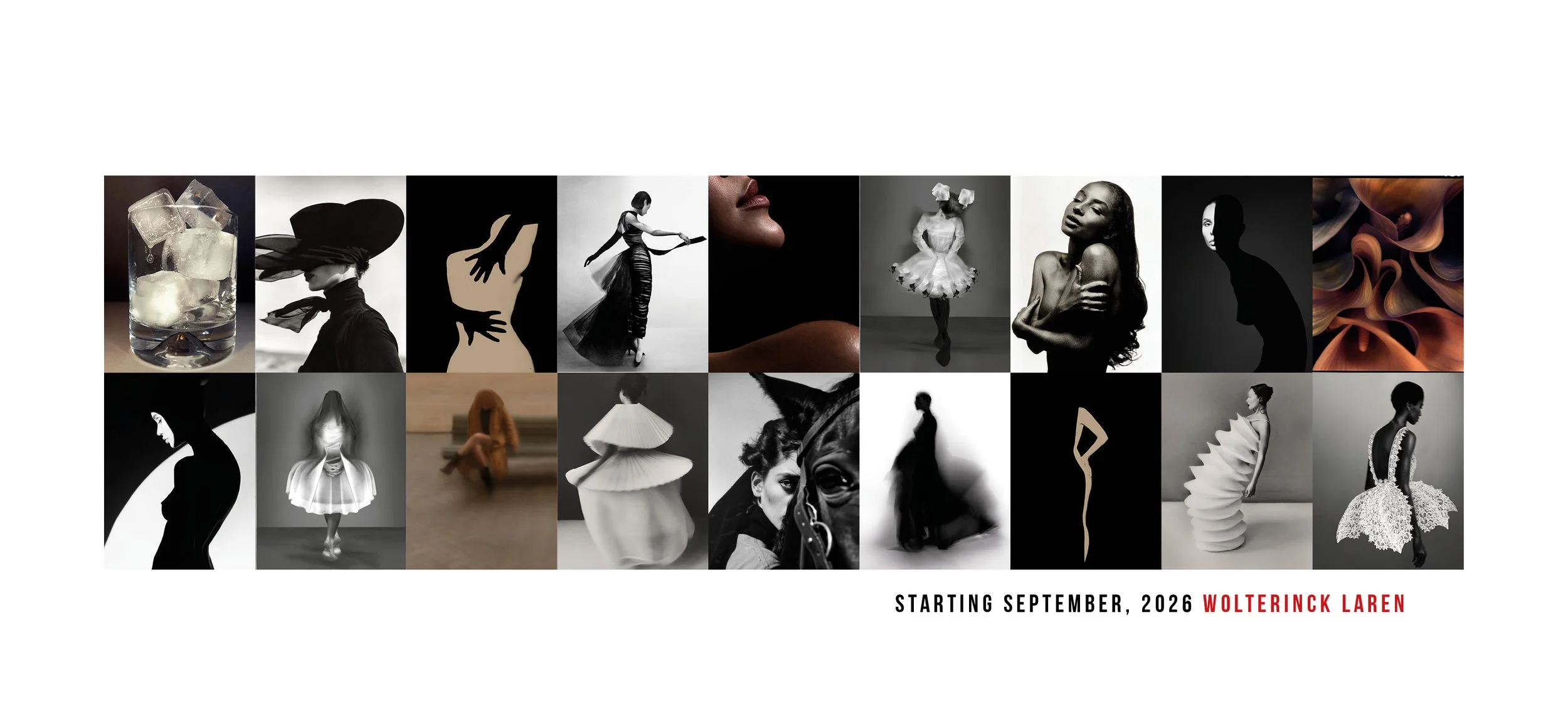 September 2026 website header.jpg