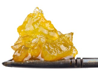 Cactus-OG-Terp-Sauce-by-Phoenix-Cannabis-Co.jpg
