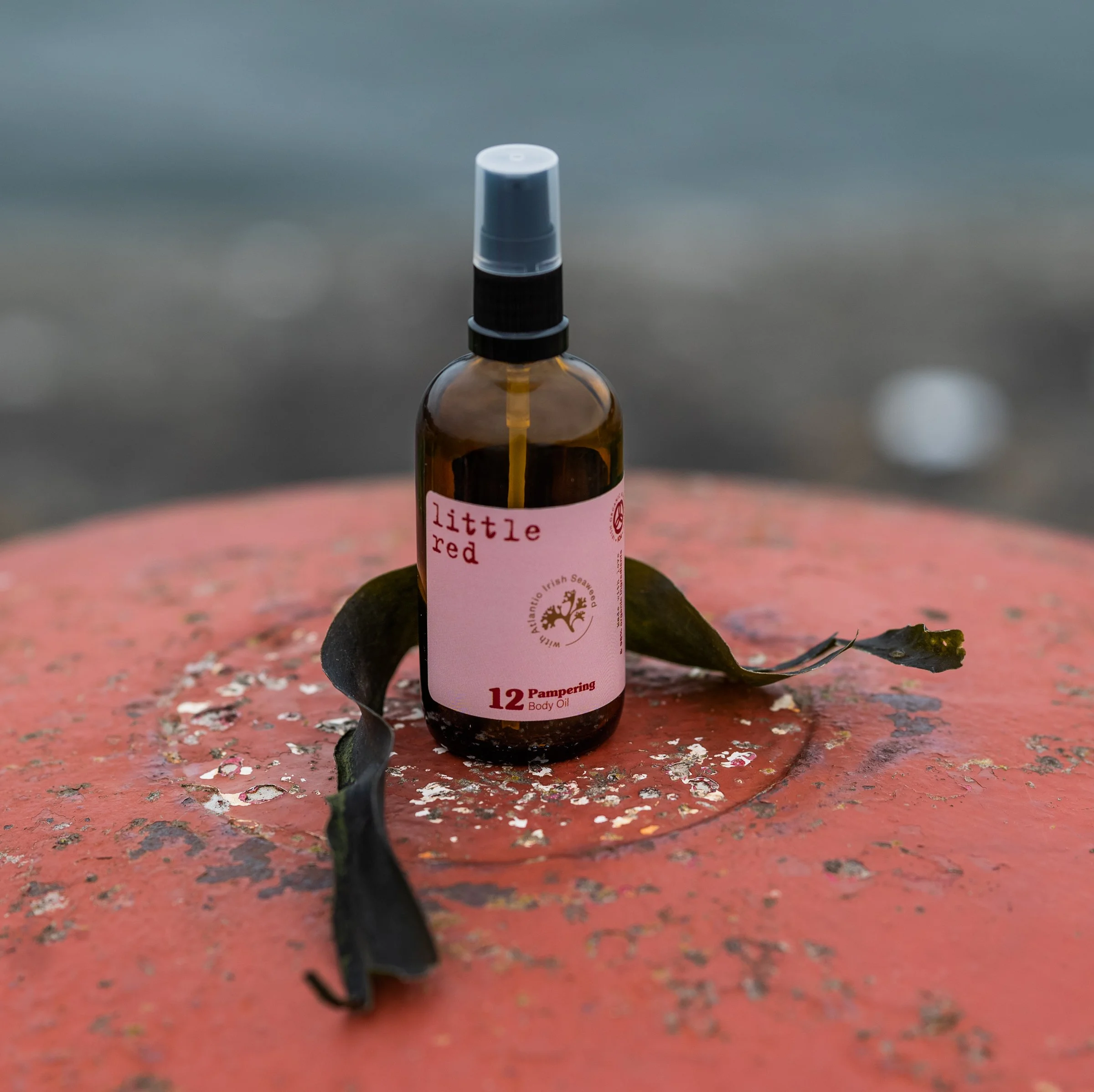 Pampering red bollard.jpg