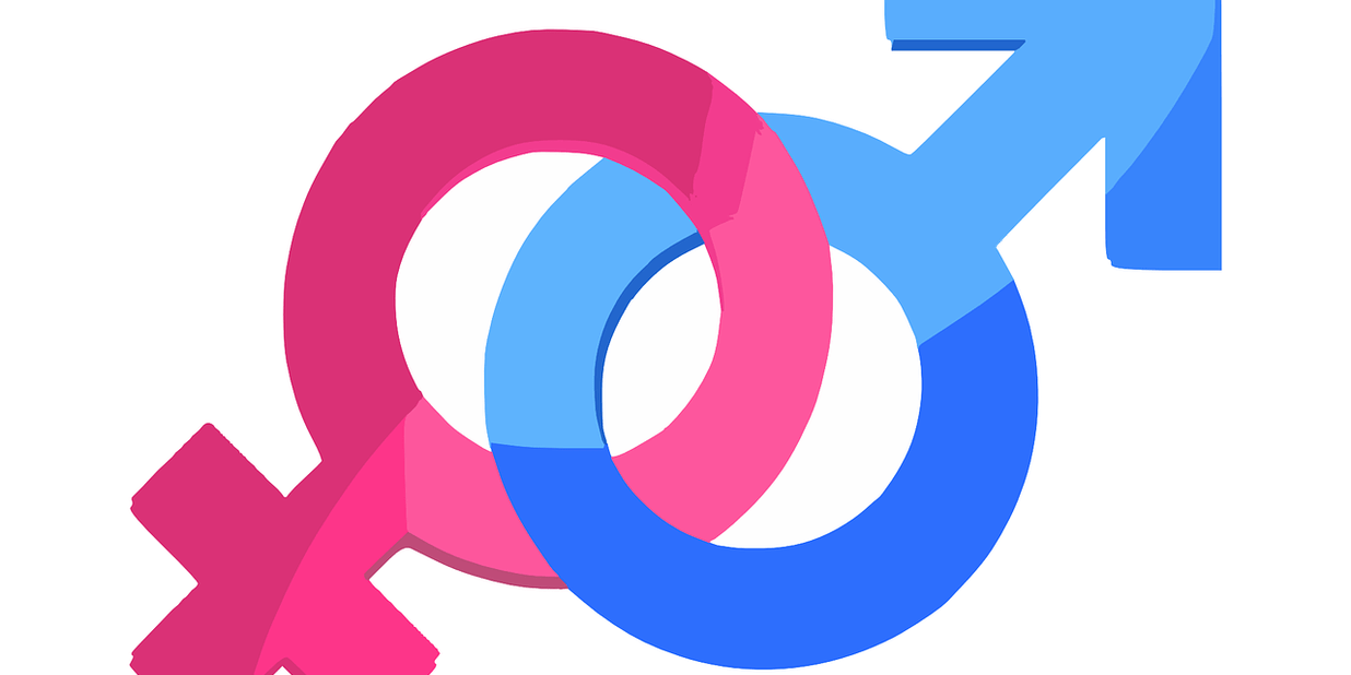 gender-312411_1280.png