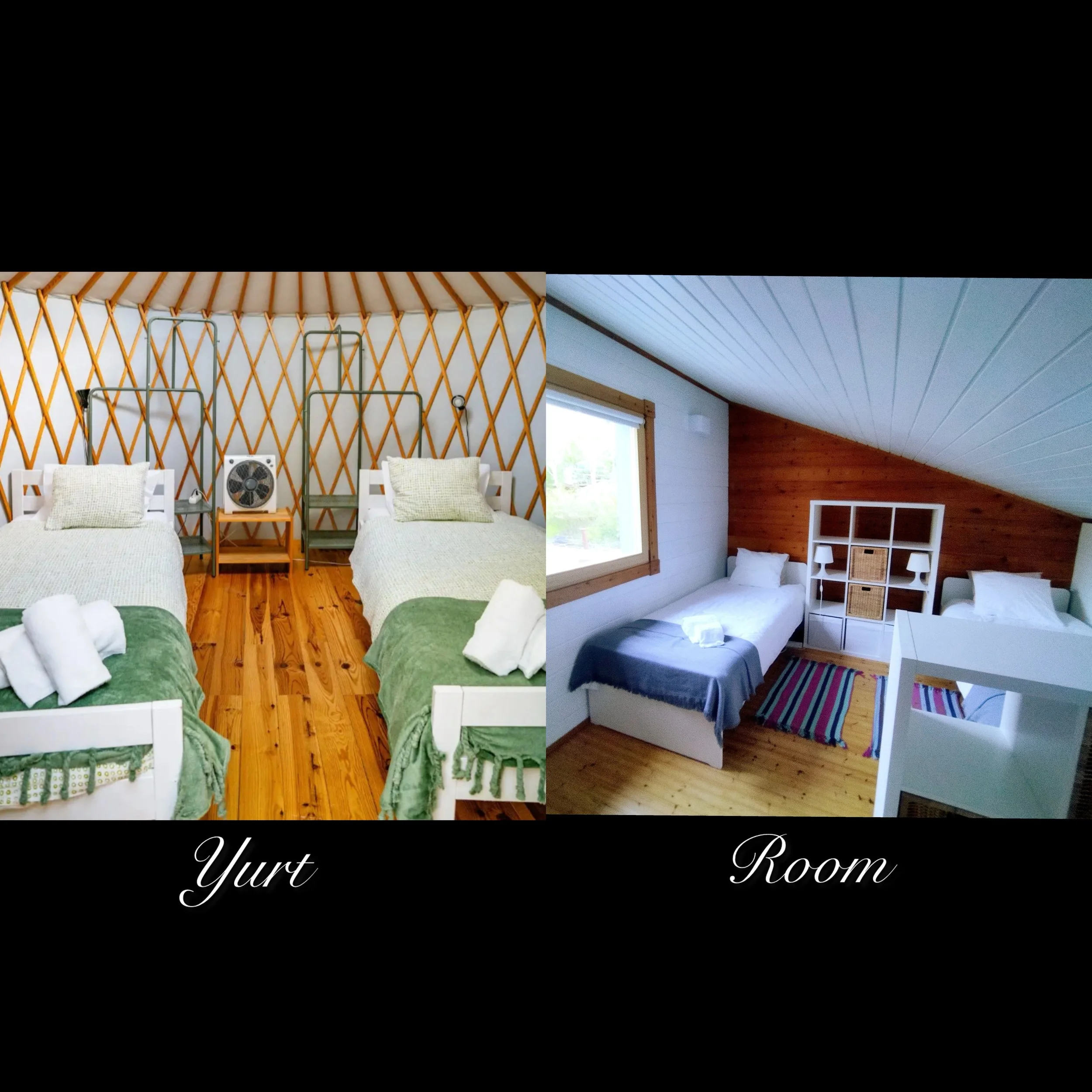 photo-output (2).jpeg