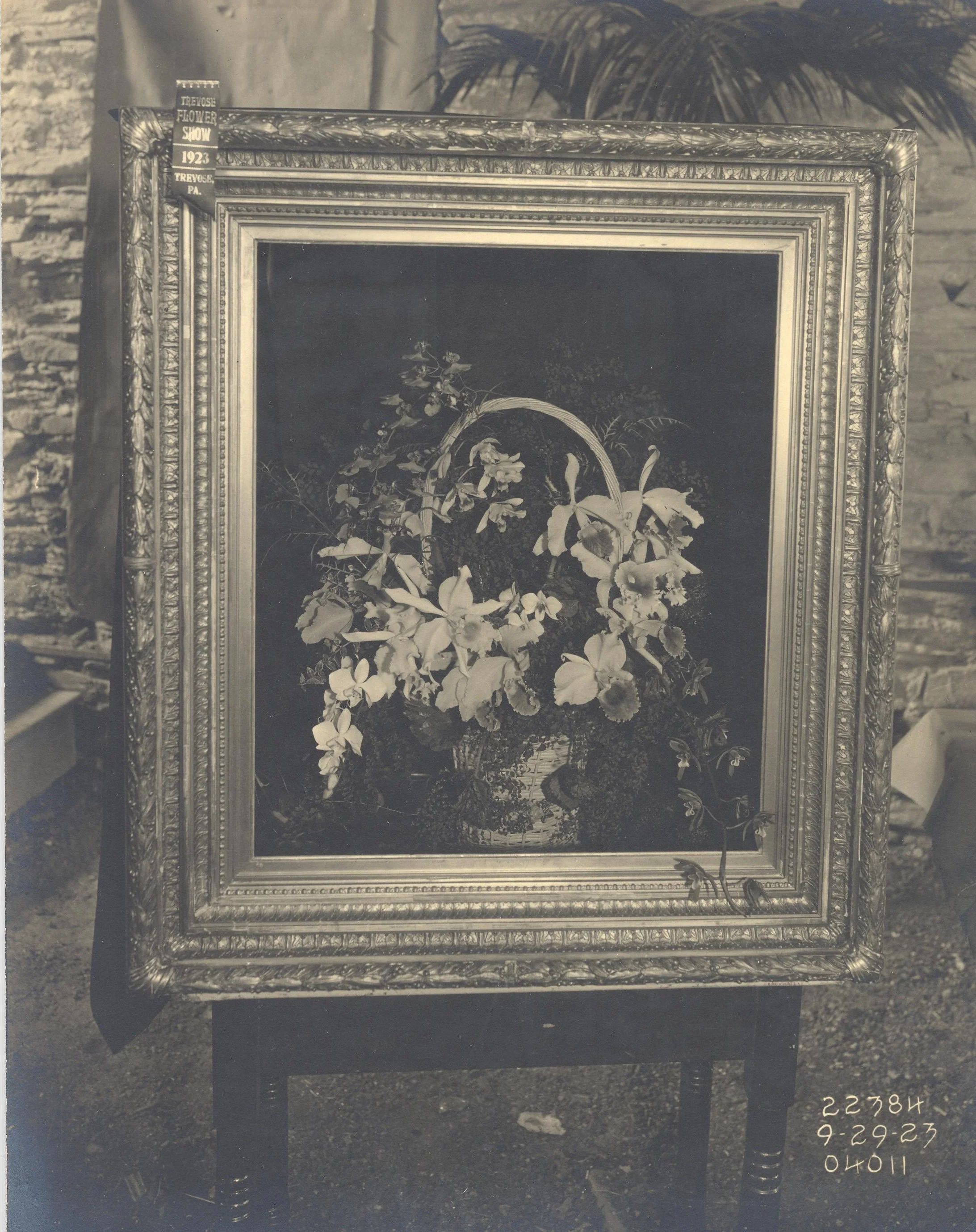 frame 1923.jpg