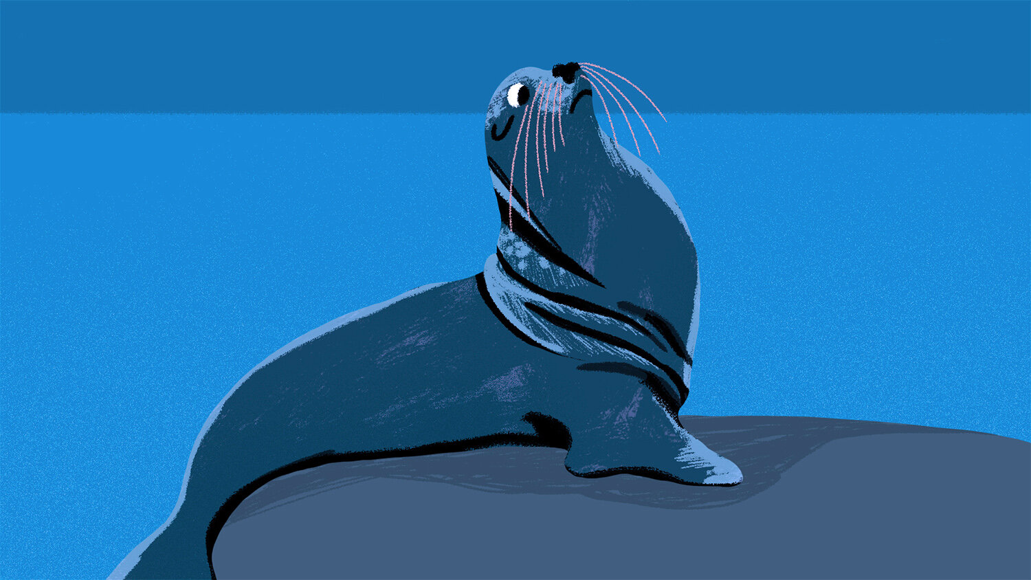Seal.jpg