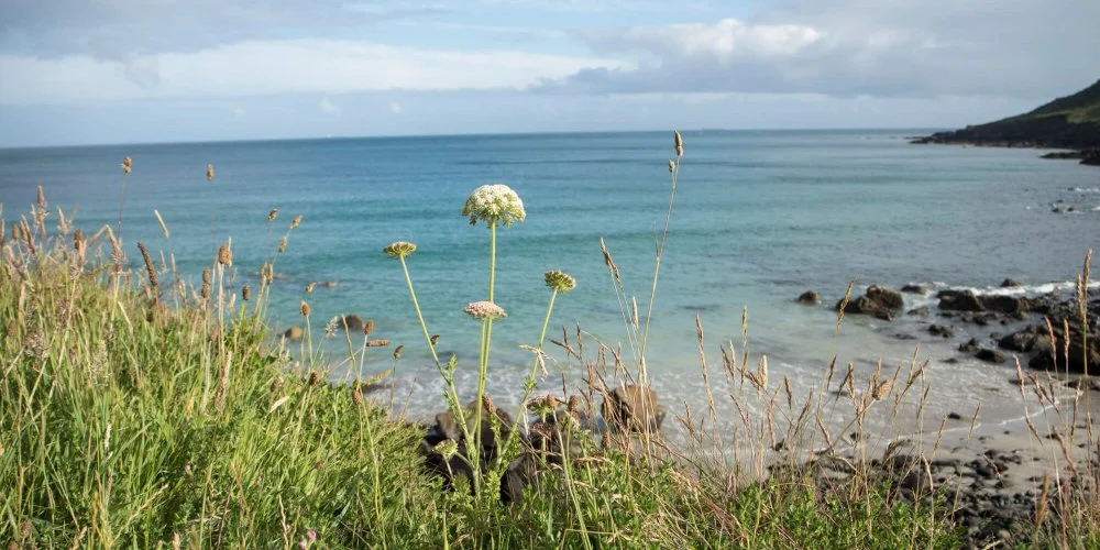 Coverack11-1000x500-1.jpg
