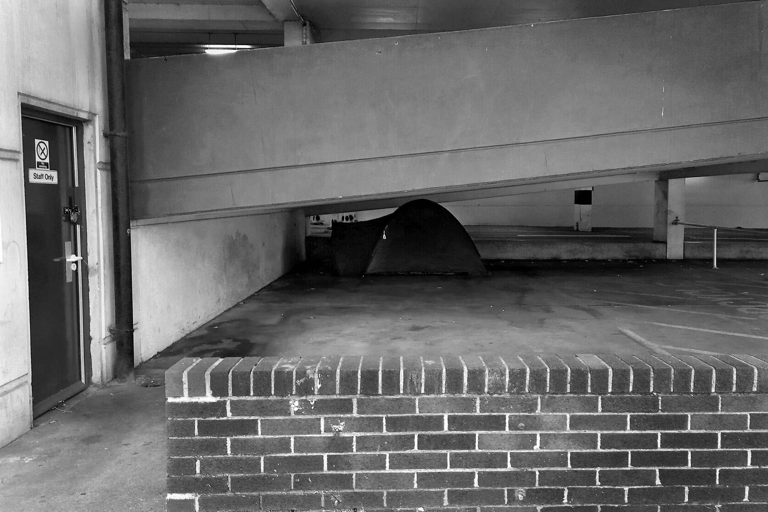 20200908_171356 copy.jpg