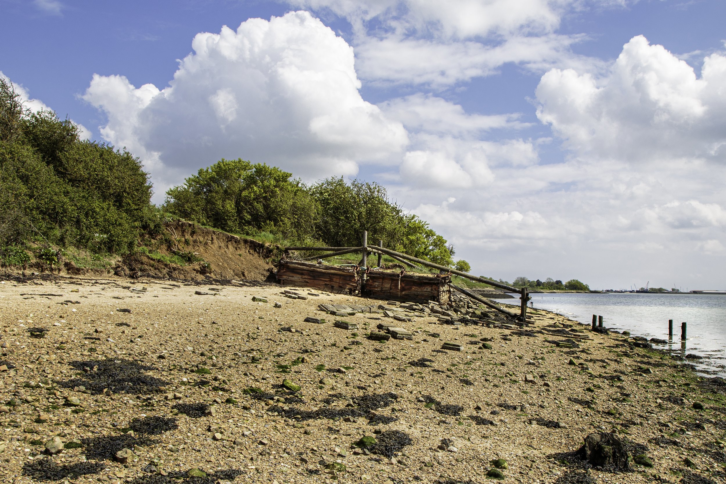 Althorne Cliffs #2