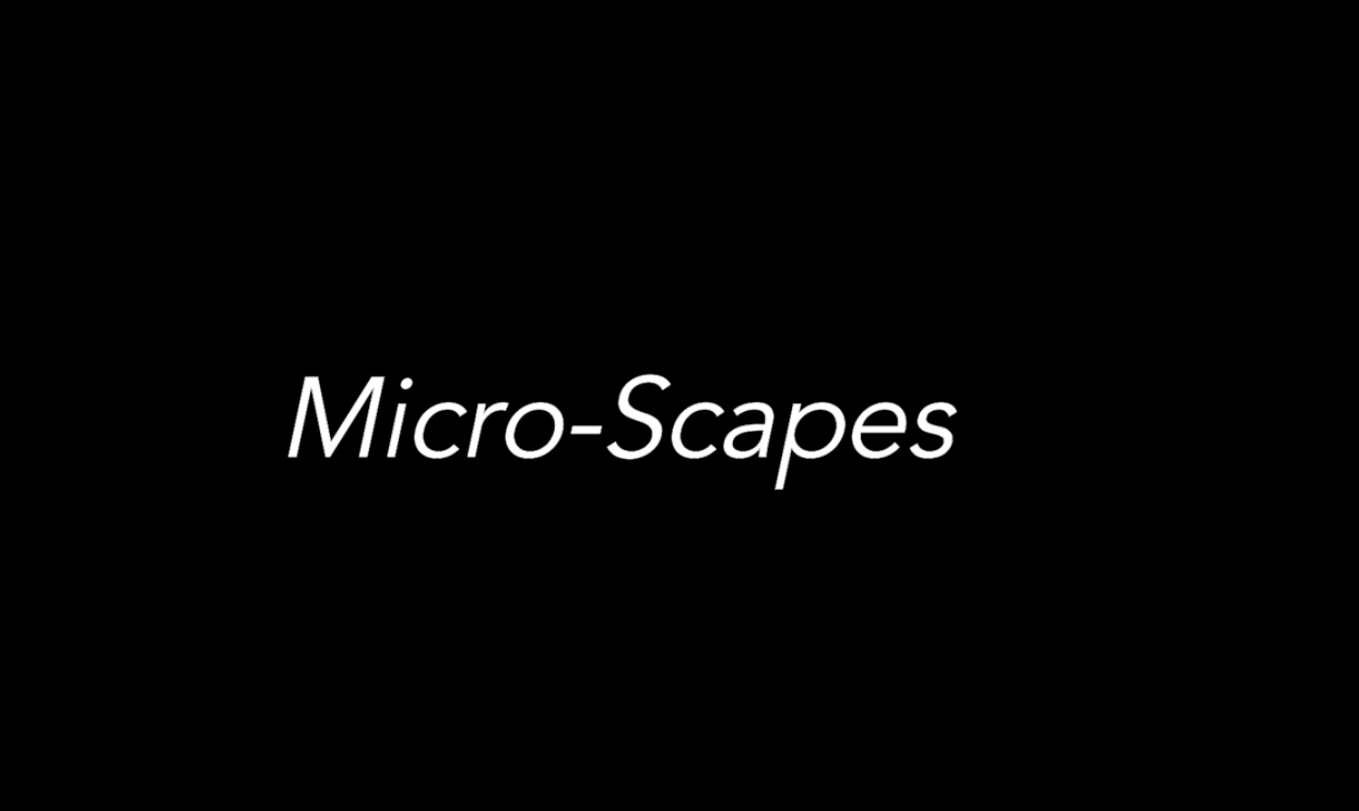 Micro-Scapes (2021) - By Andrew John Fergus & Holly Sandiford