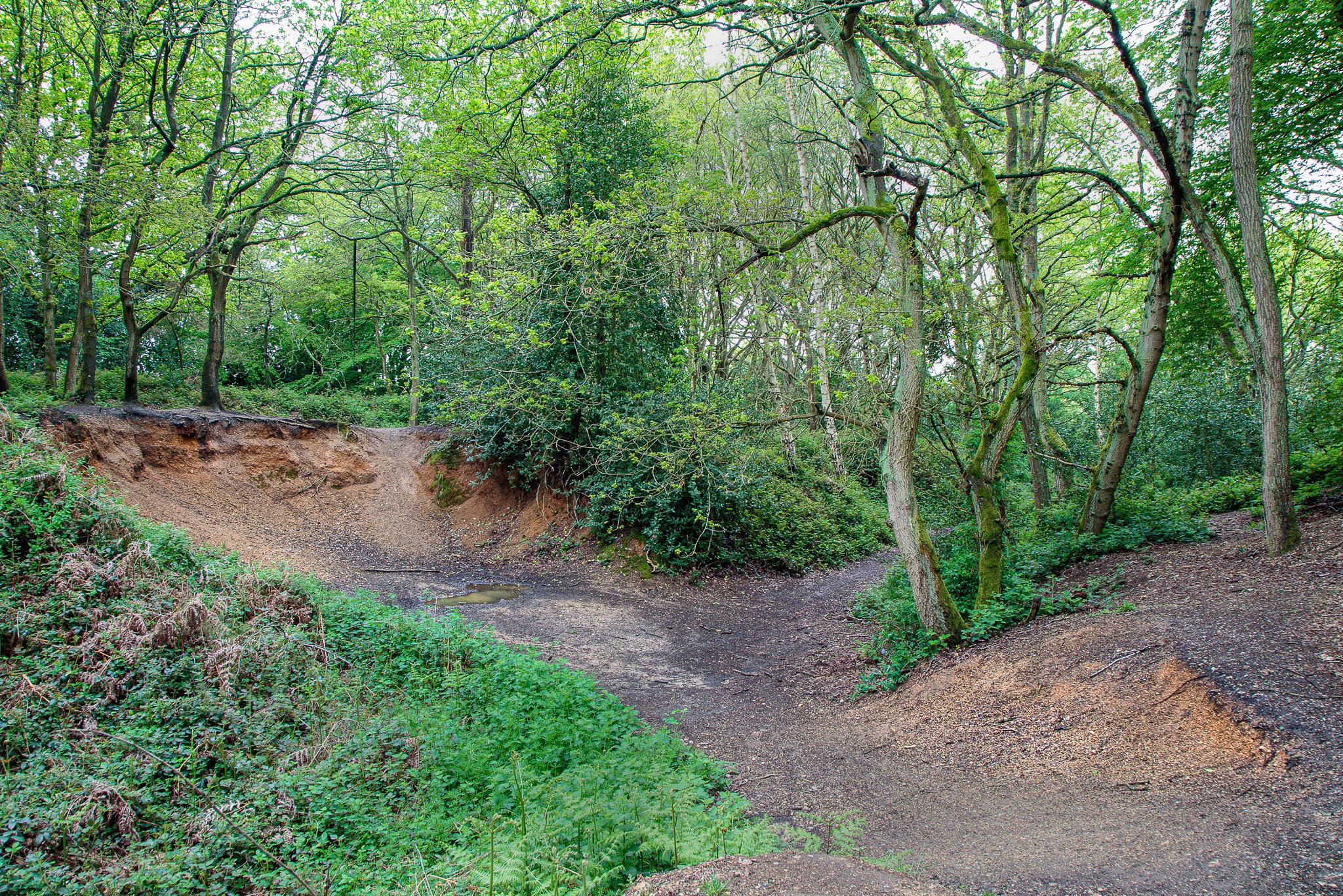 Danbury Gravel Pit #2
